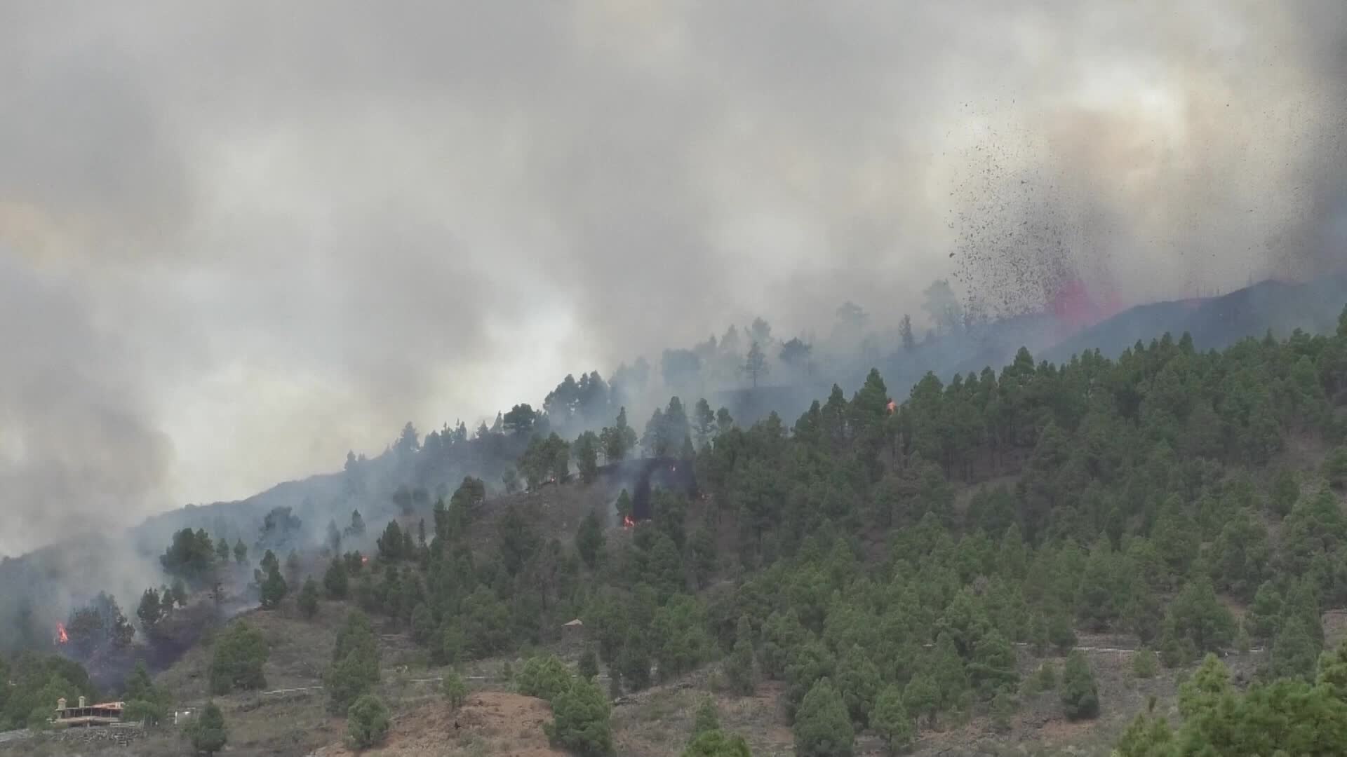 La Palma's Cumbre Vieja volcano erupts