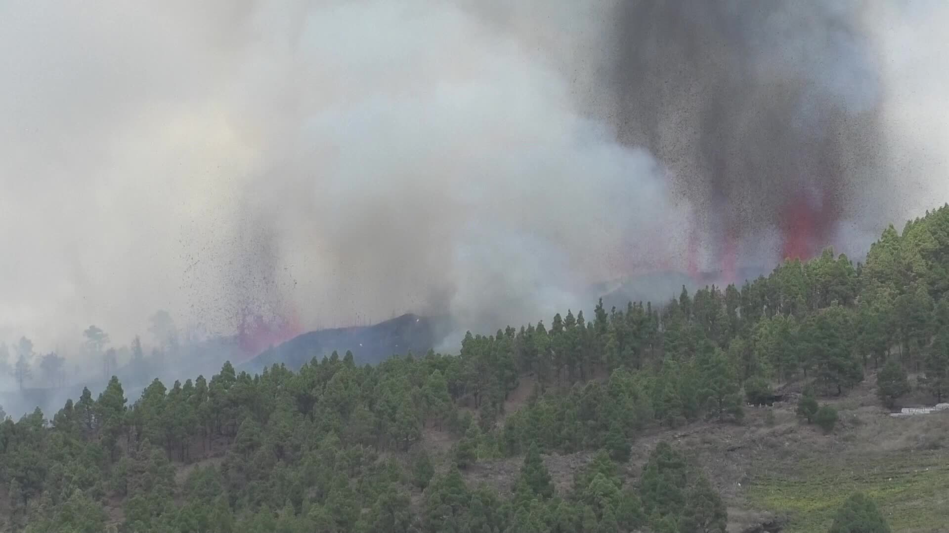 La Palma's Cumbre Vieja volcano erupts