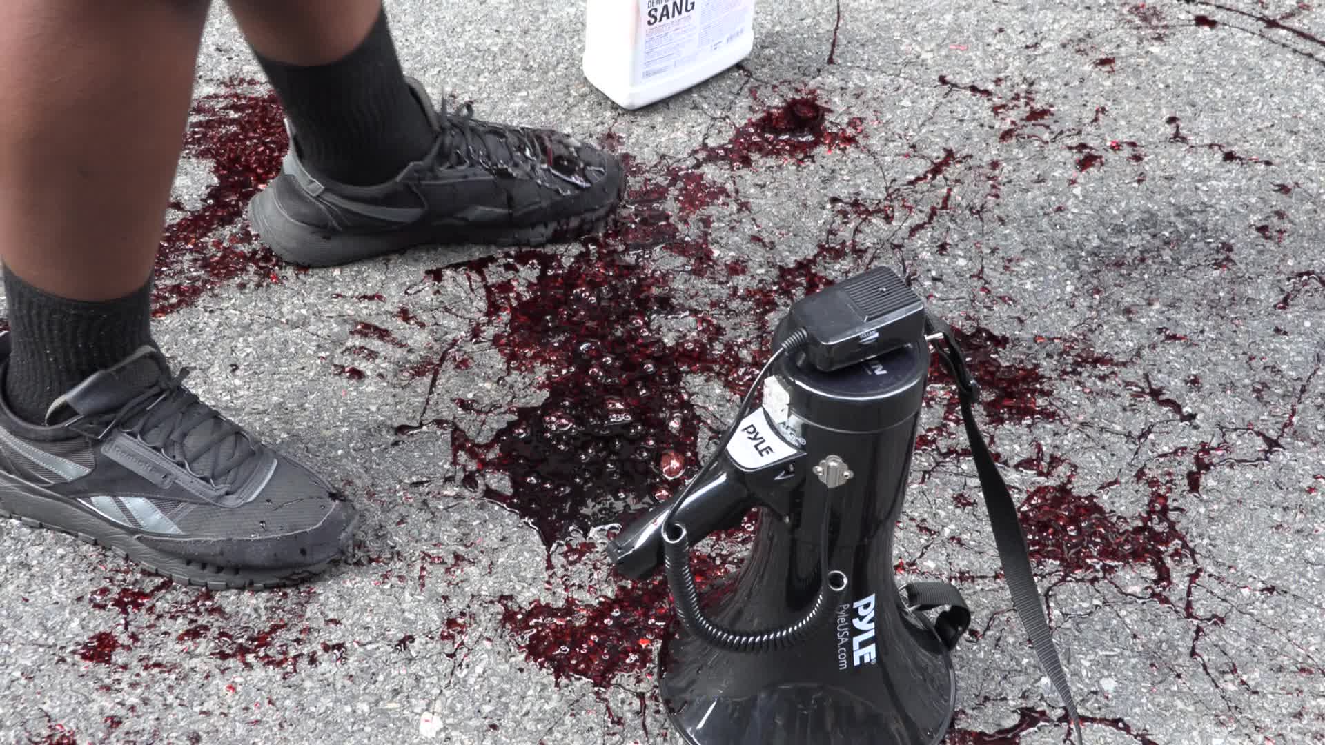 NYC: United Nations General Assembly protests