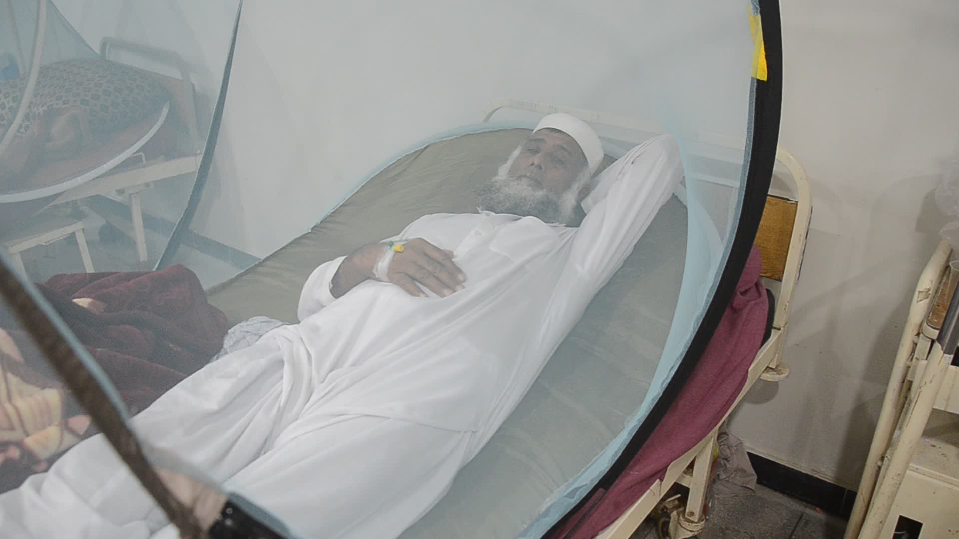 Peshawar reports 213 dengue cases in a day 