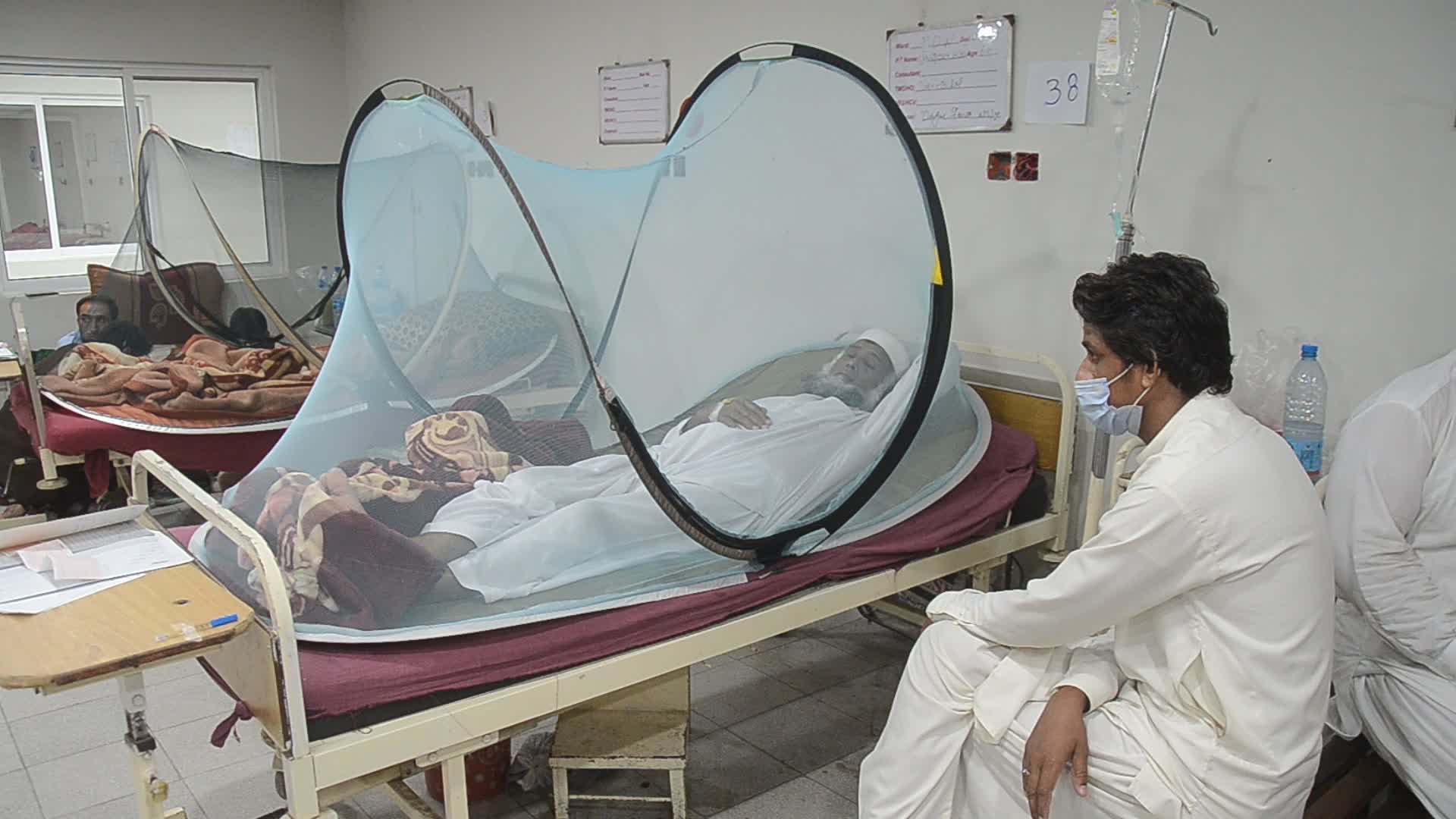 Peshawar reports 213 dengue cases in a day 