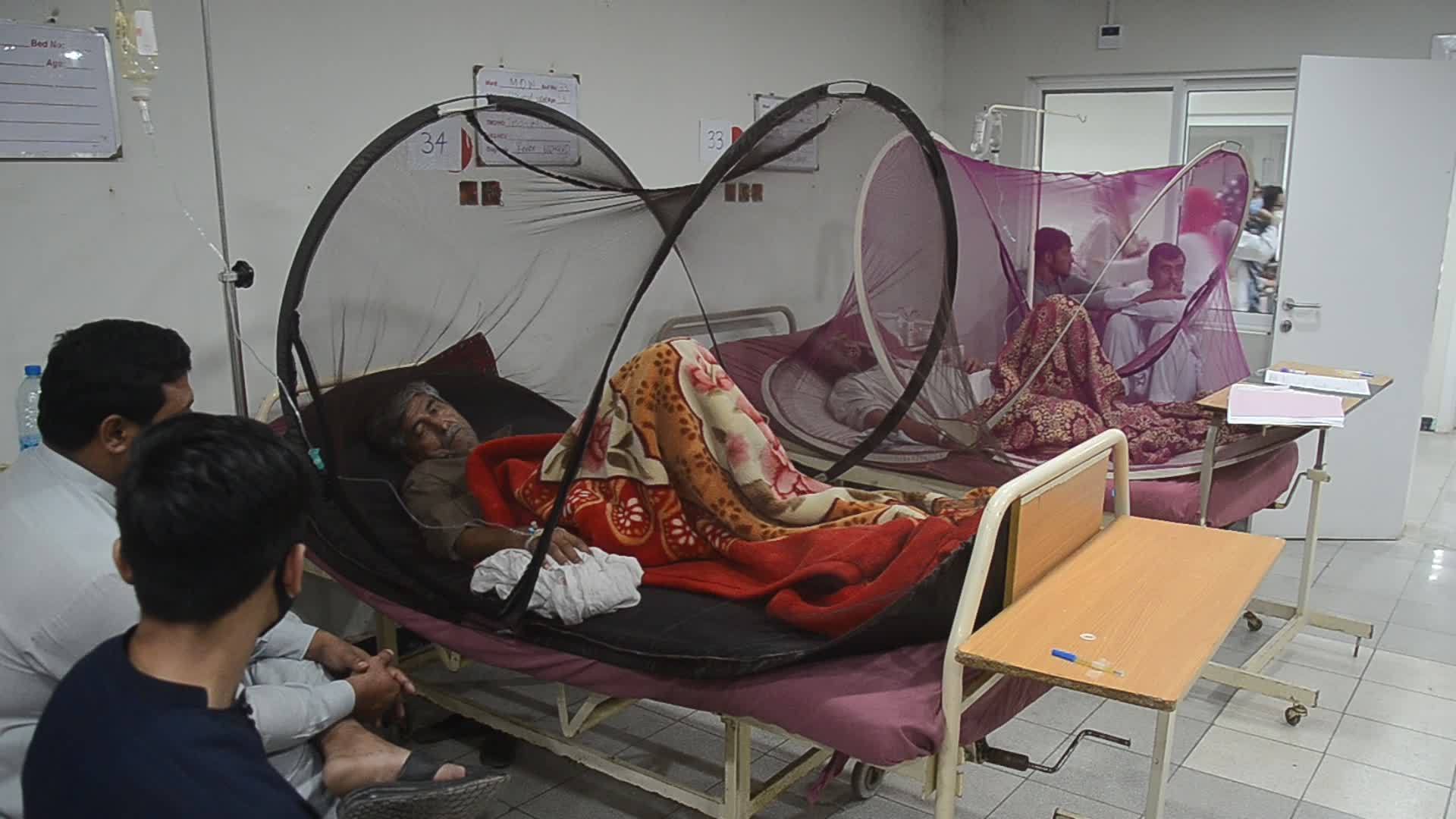 Peshawar reports 213 dengue cases in a day 