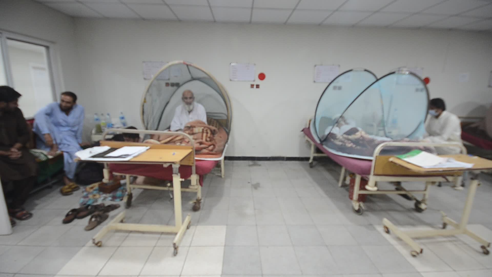 Peshawar reports 213 dengue cases in a day 