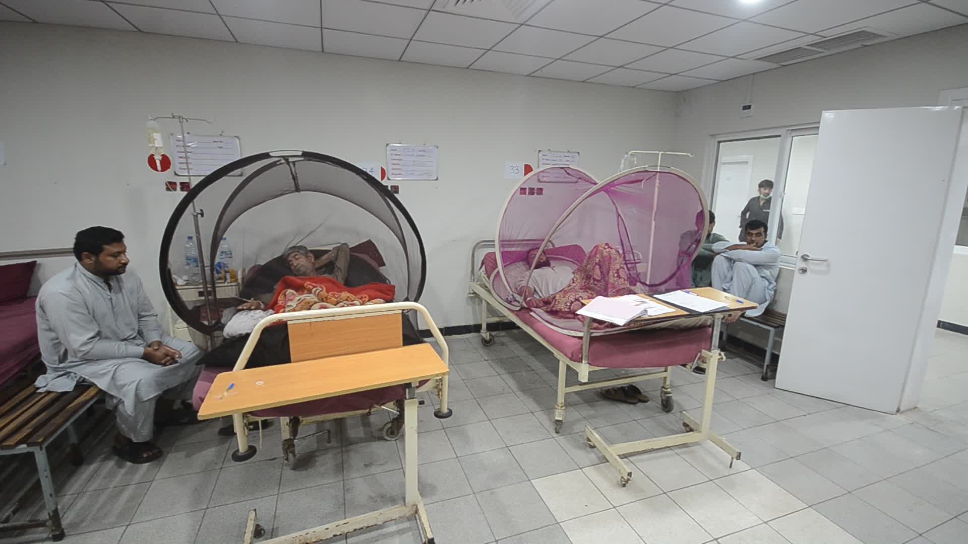 Peshawar reports 213 dengue cases in a day 