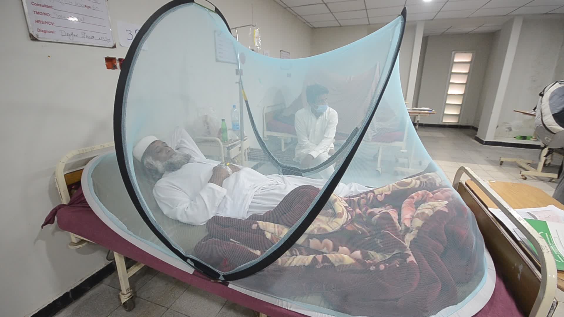 Peshawar reports 213 dengue cases in a day 