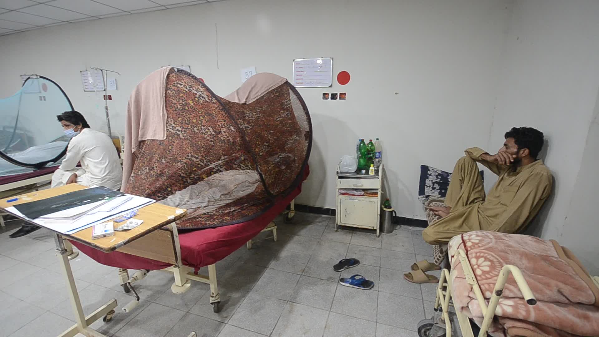Peshawar reports 213 dengue cases in a day 