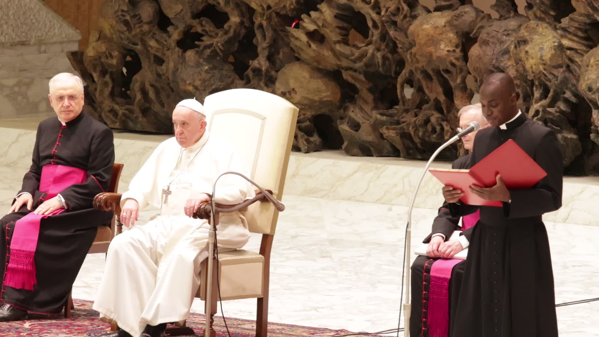 Pope Francis holds his weekly general audience