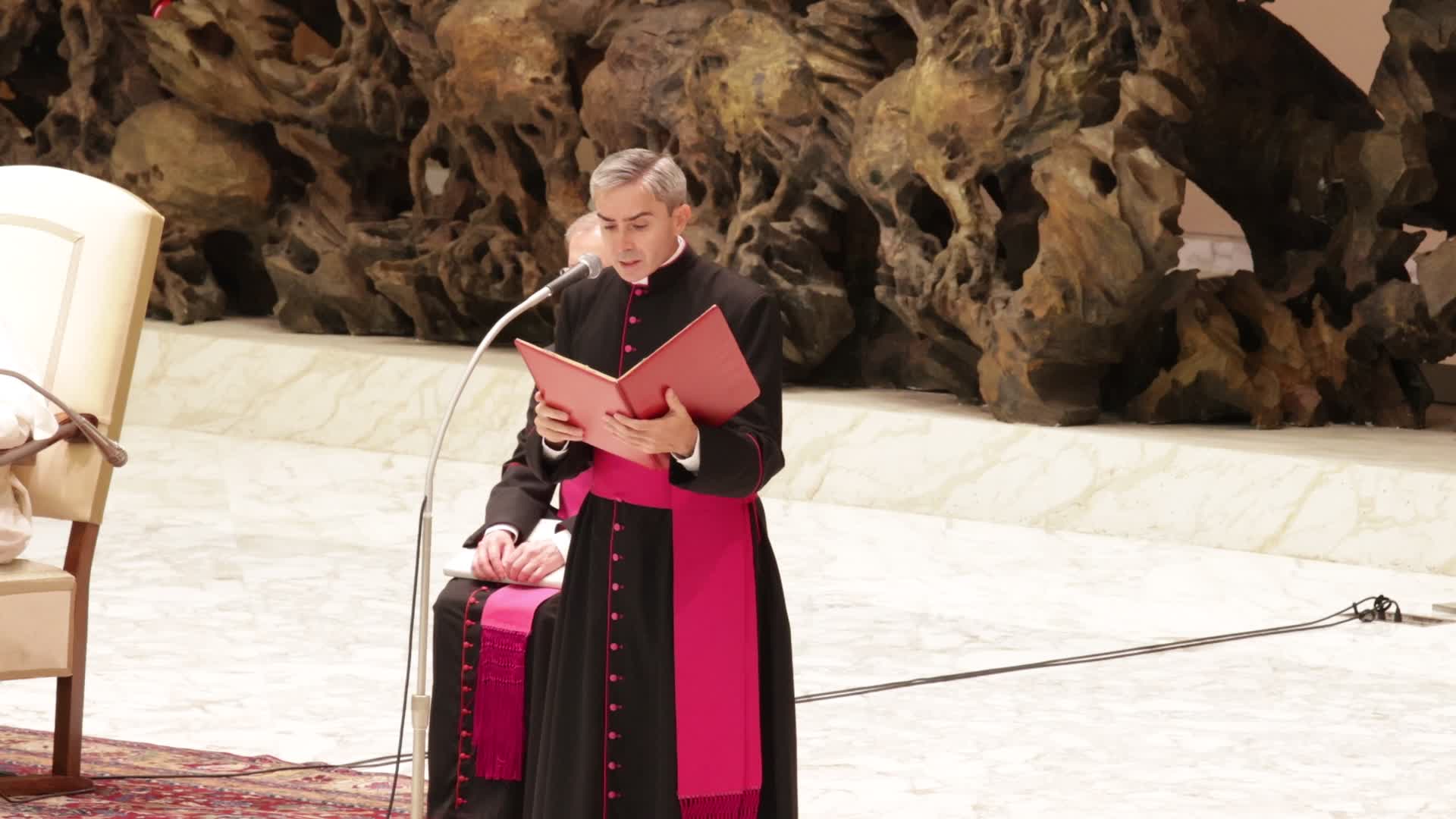 Pope Francis holds his weekly general audience