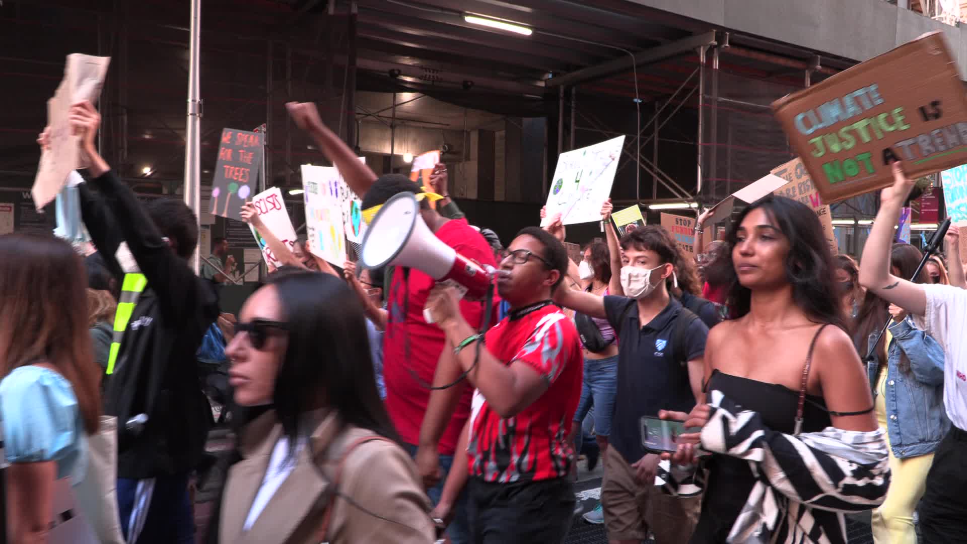 NYC: Climate Strike youth protest