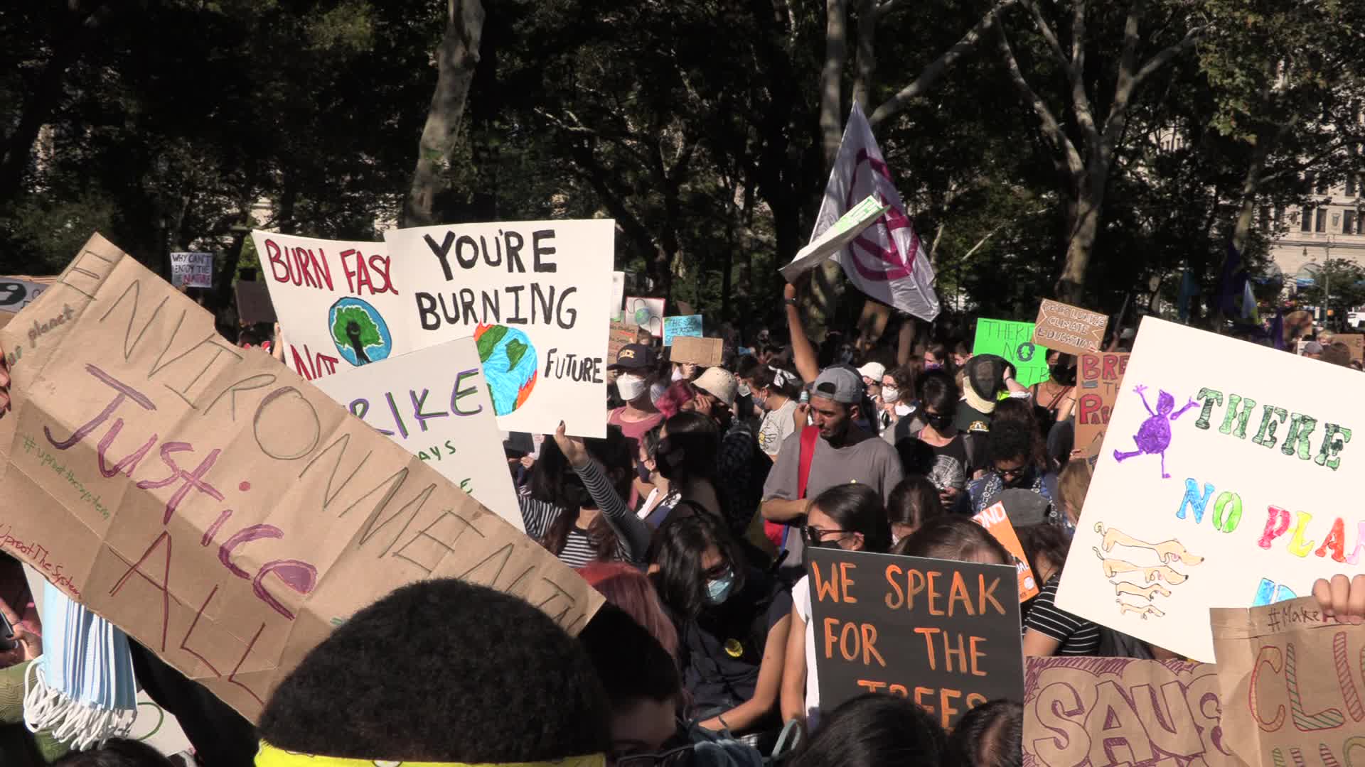 NYC: Climate Strike youth protest