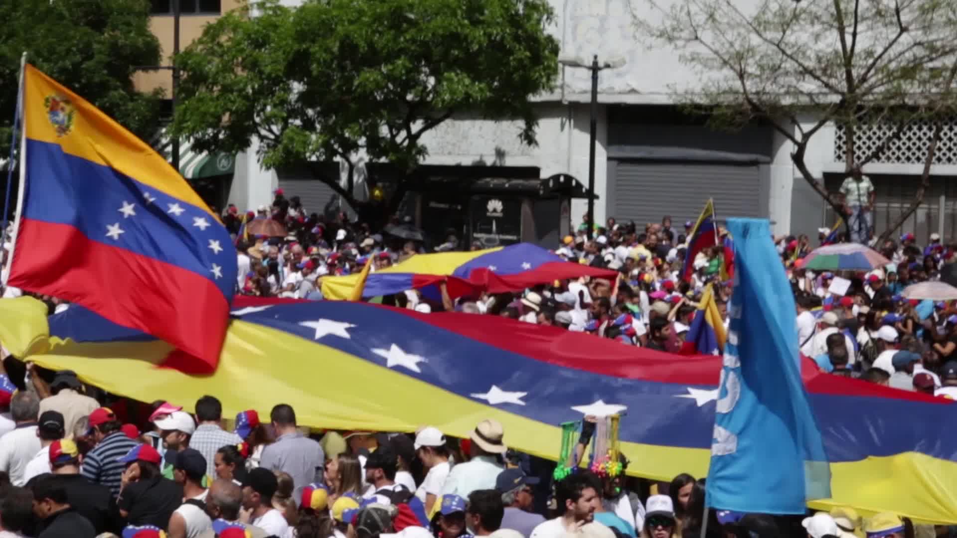  Demonstration To Support Self-proclaimed Interim President Of Venezuela
