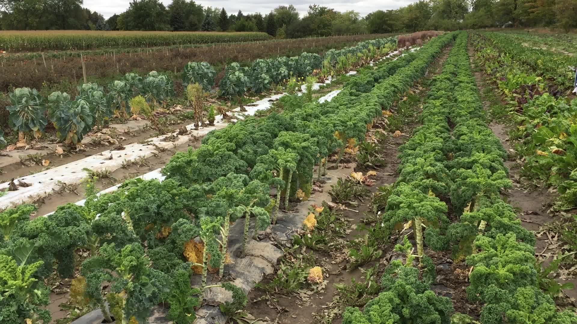 Agriculture in Canada