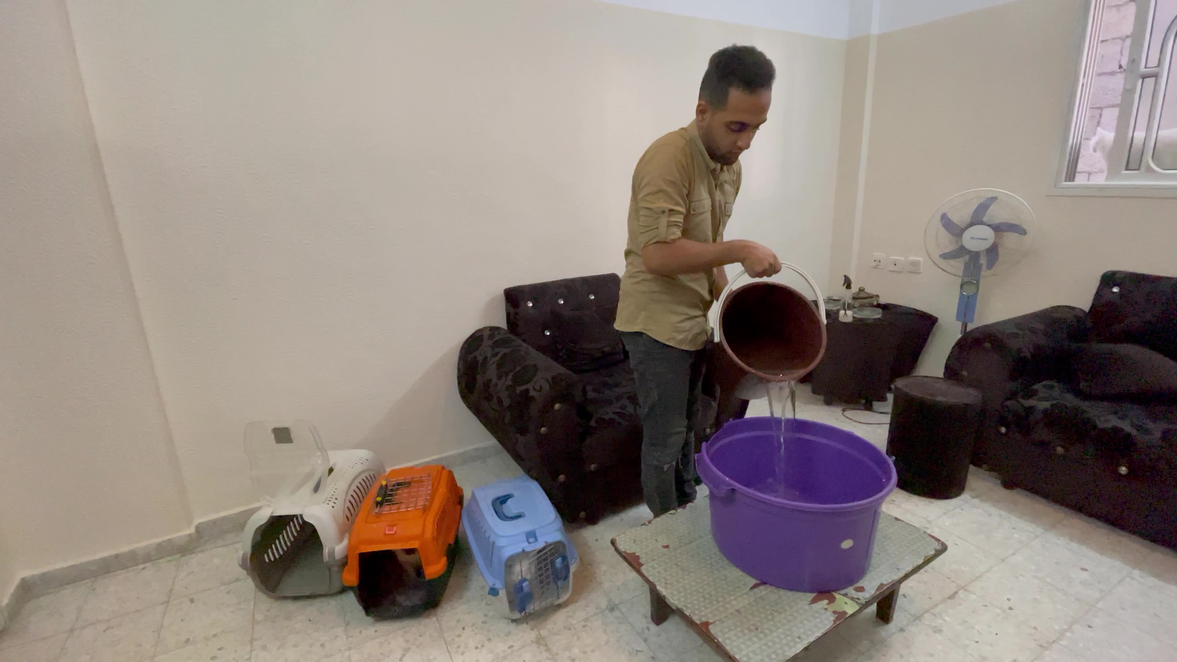 Cat Salon In Gaza