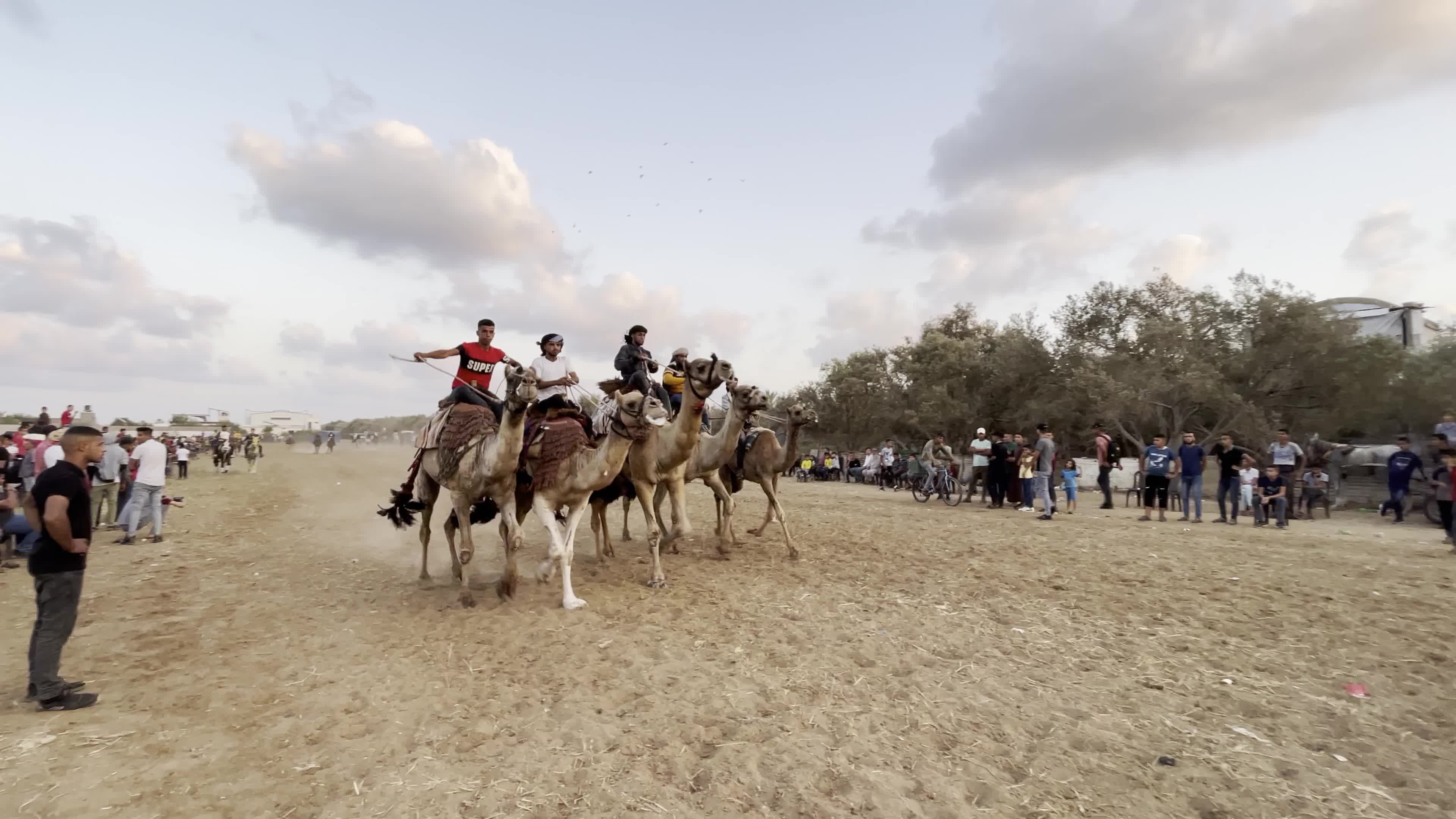 Daily Life Gaza Strip 