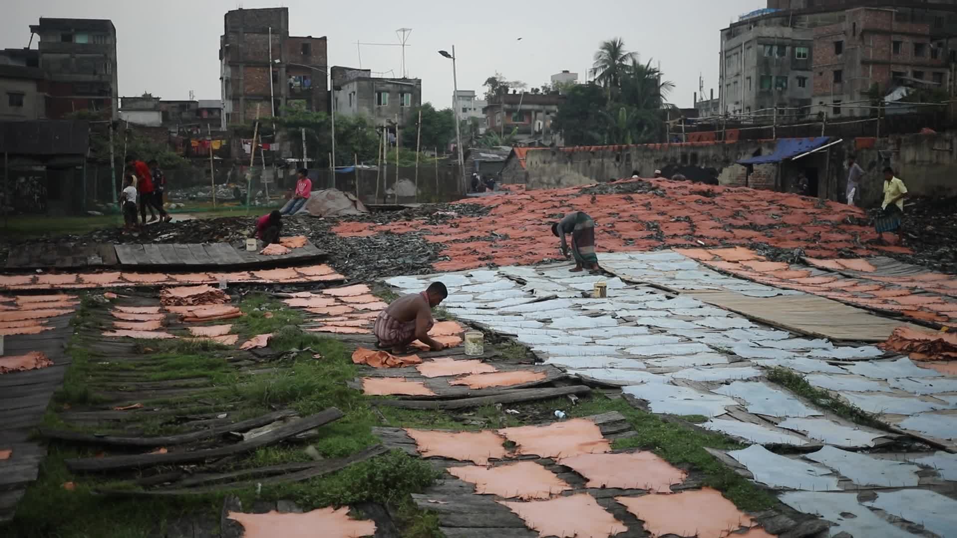 Leather industry in Dhaka 