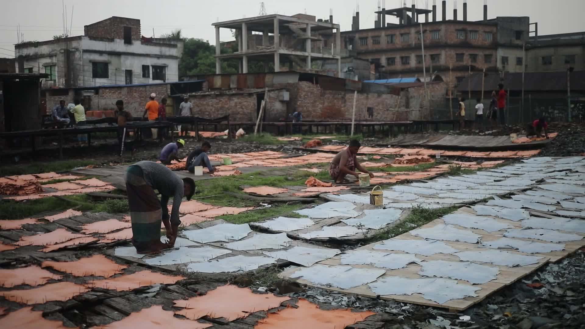 Leather industry in Dhaka 