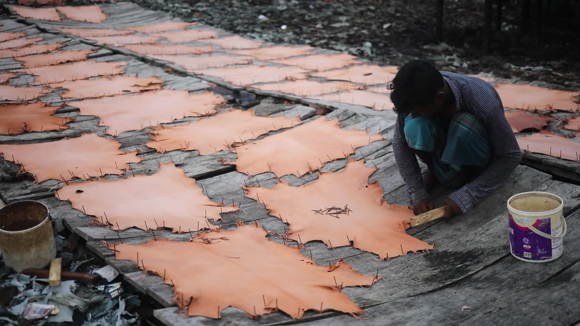Leather industry in Dhaka 
