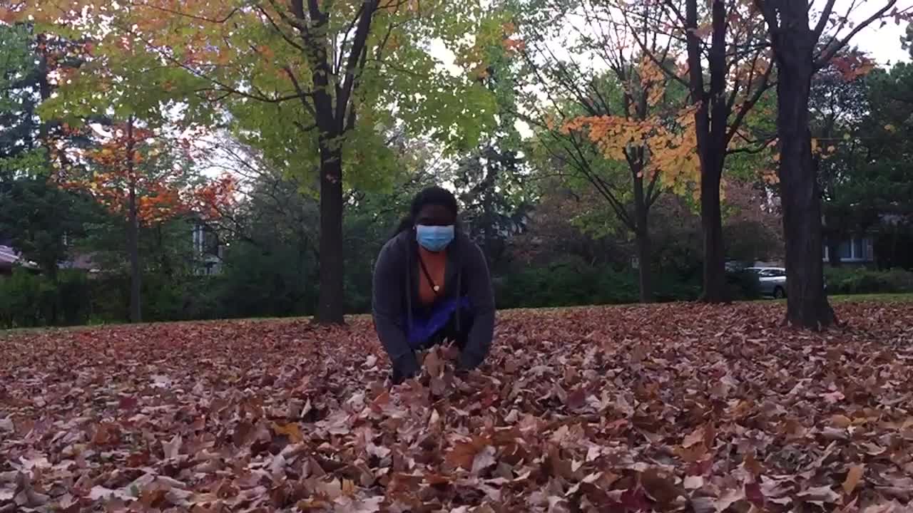 Autumn season in Toronto