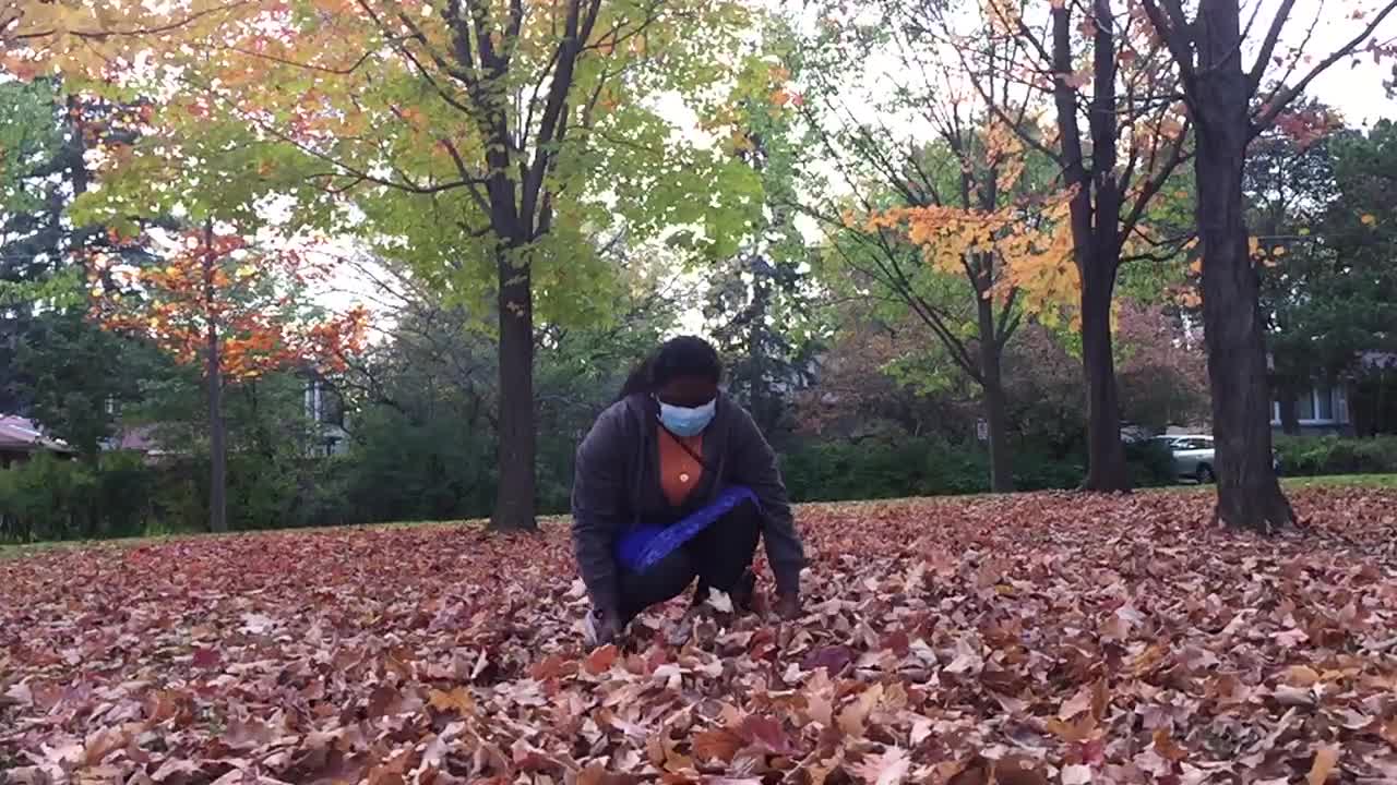 Autumn season in Toronto