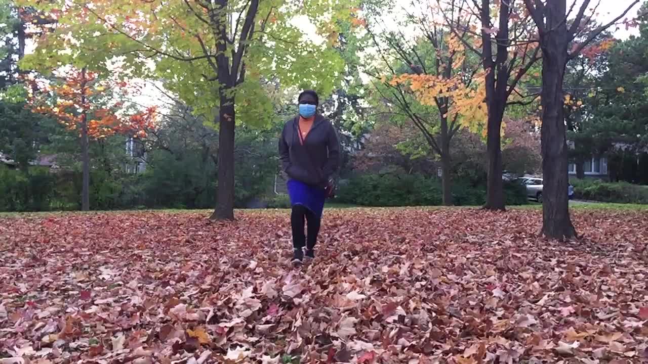 Autumn season in Toronto