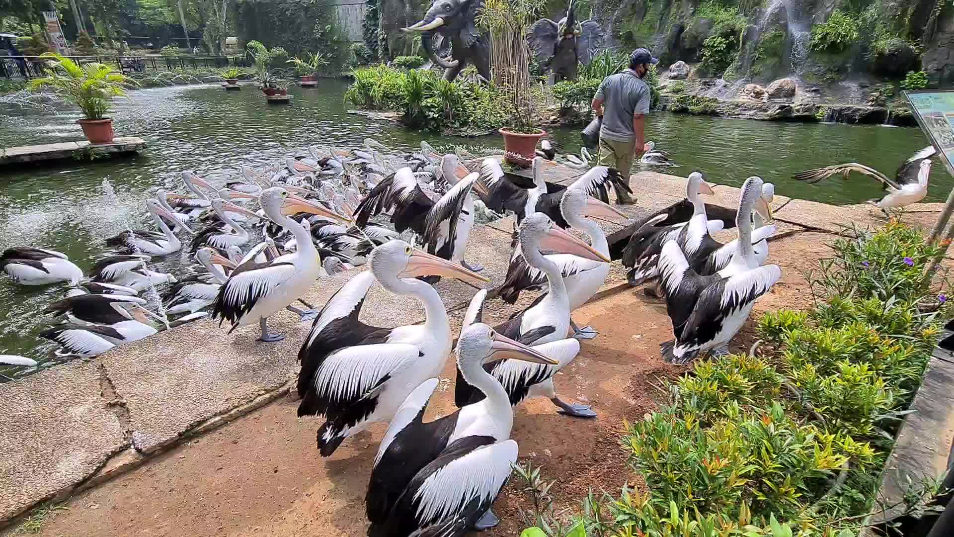 Zoo reopens in Jakarta, Indonesia
