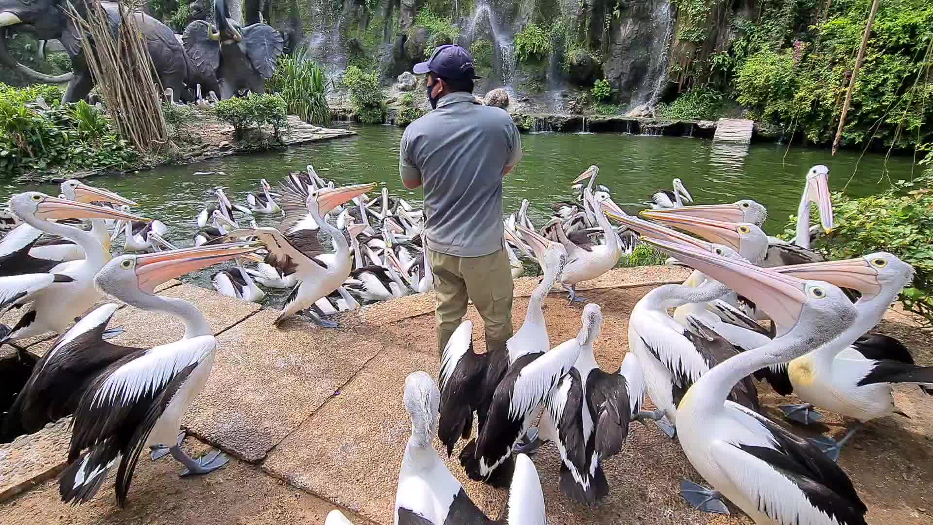 Zoo reopens in Jakarta, Indonesia