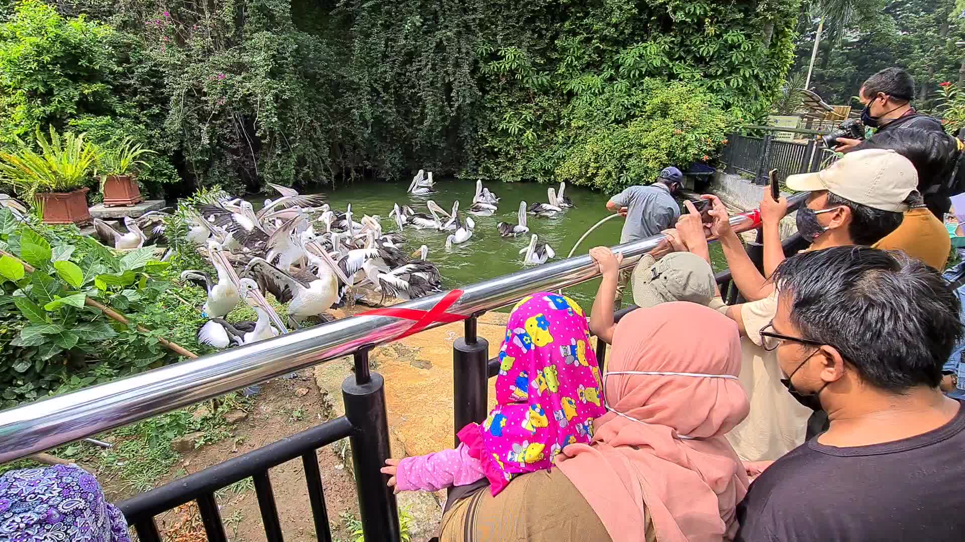 Zoo reopens in Jakarta, Indonesia
