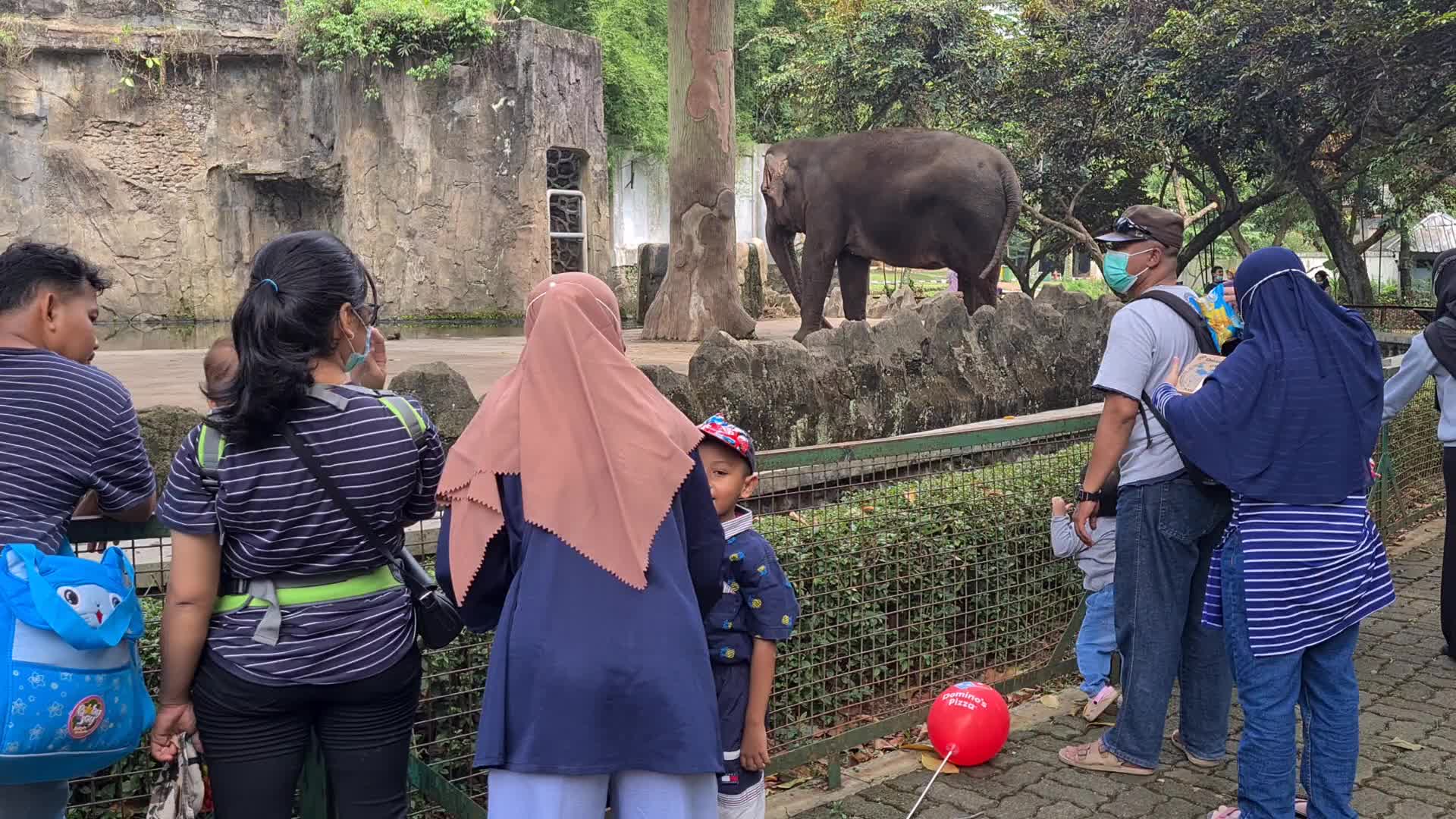 Zoo reopens in Jakarta, Indonesia