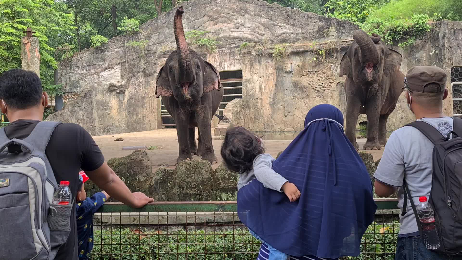 Zoo reopens in Jakarta, Indonesia