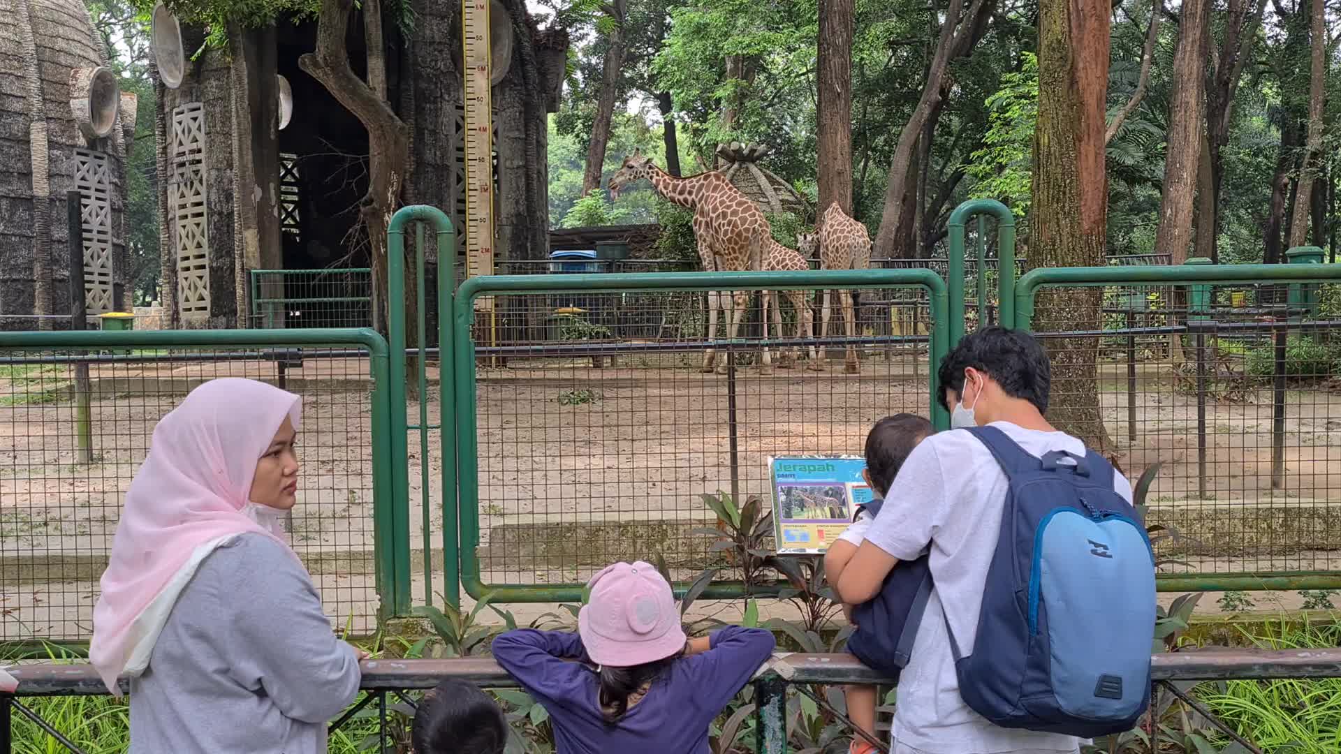 Zoo reopens in Jakarta, Indonesia