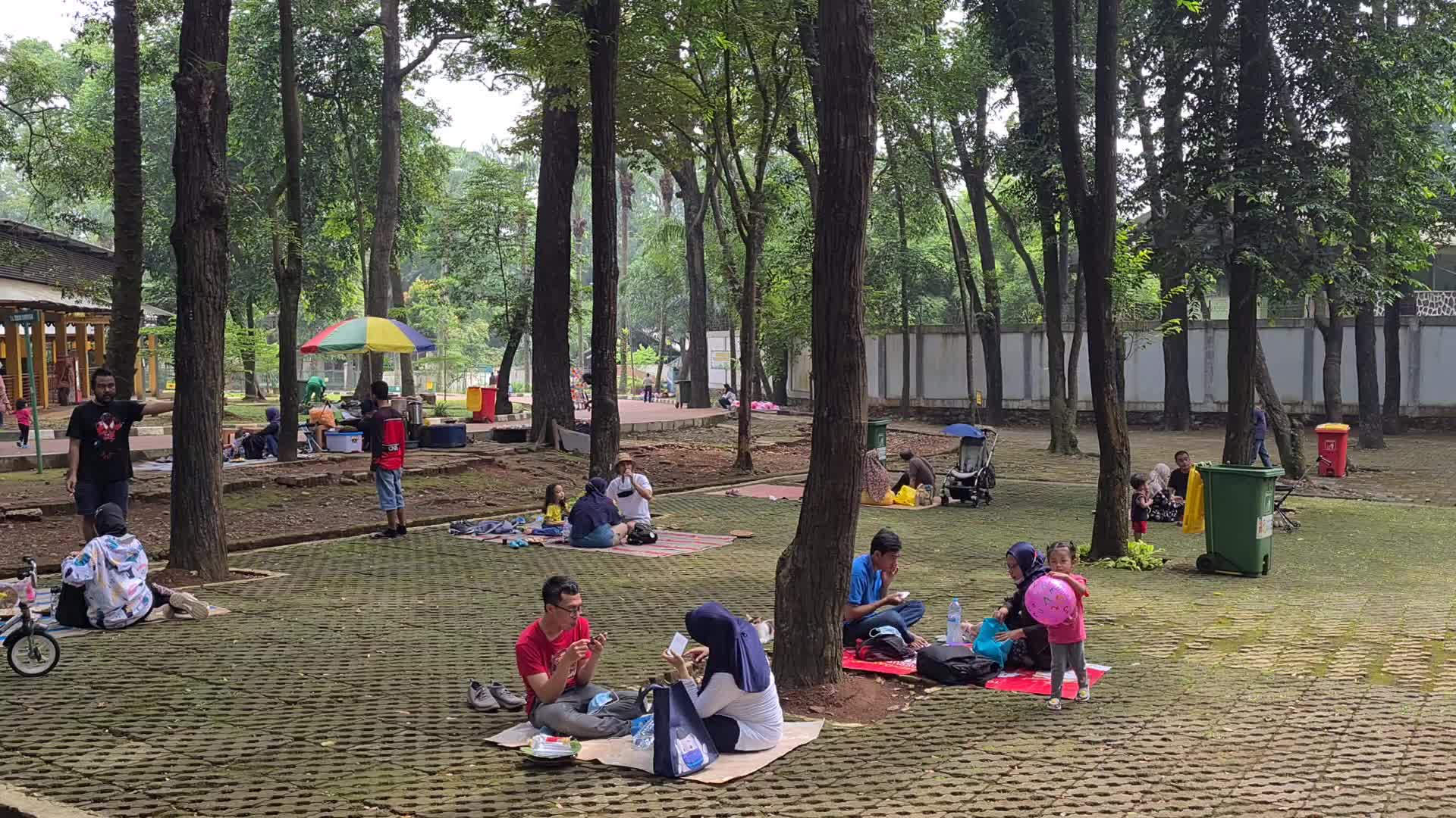 Zoo reopens in Jakarta, Indonesia