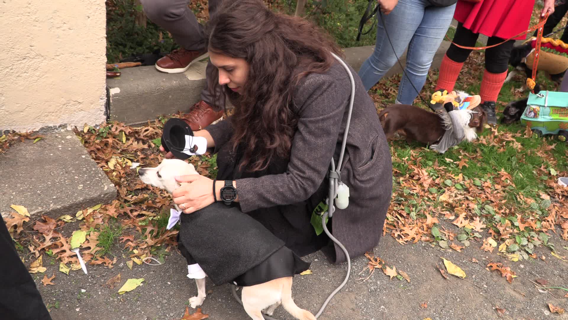 NYC: Tompkins Square Halloween Dog Parade