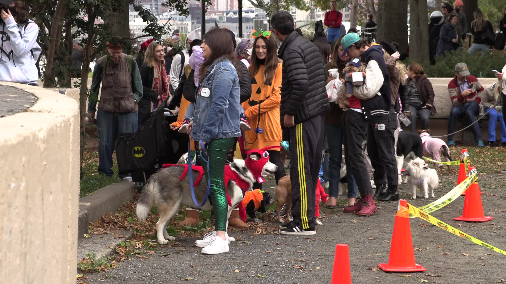 NYC: Tompkins Square Halloween Dog Parade