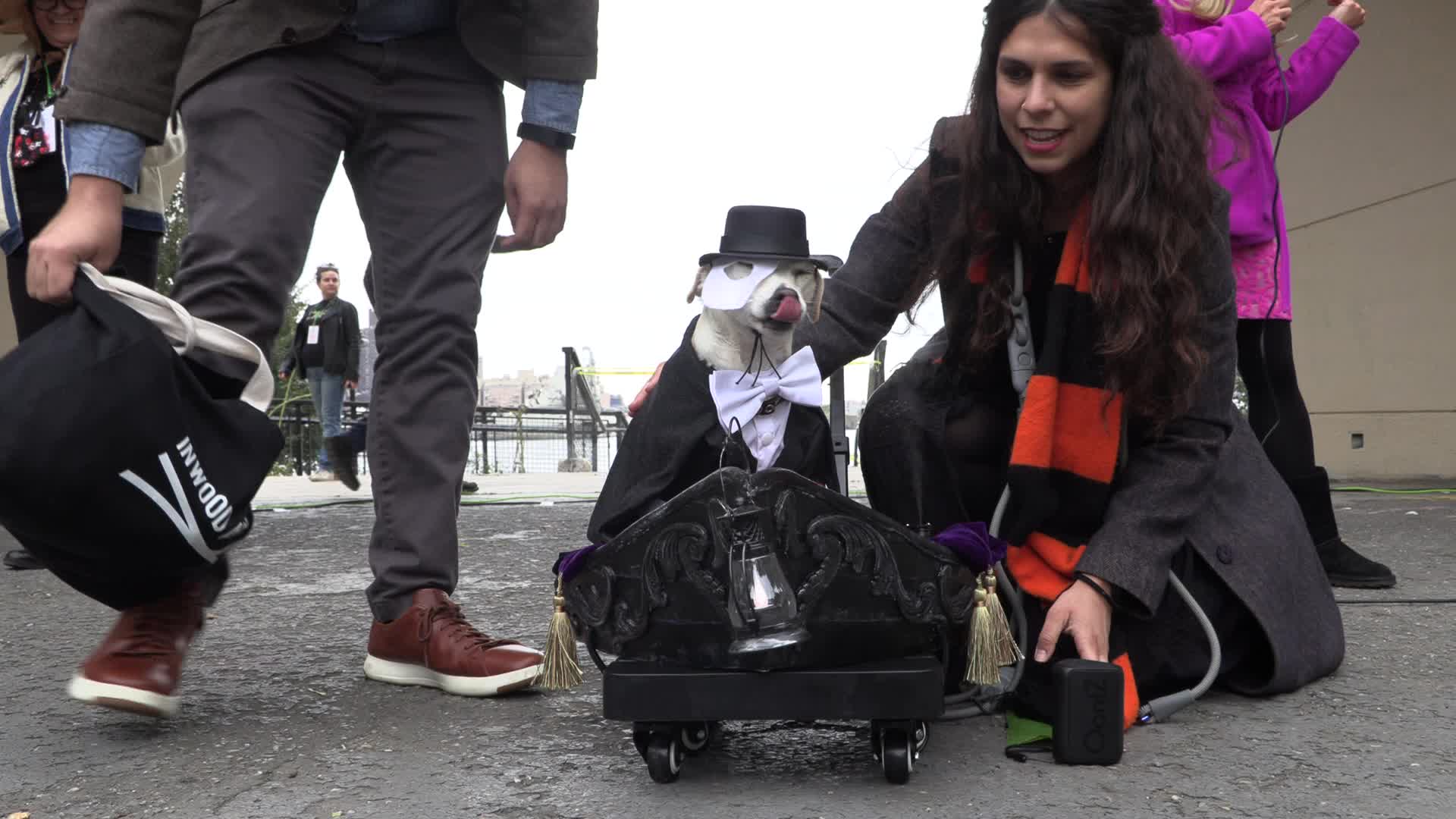 NYC: Tompkins Square Halloween Dog Parade
