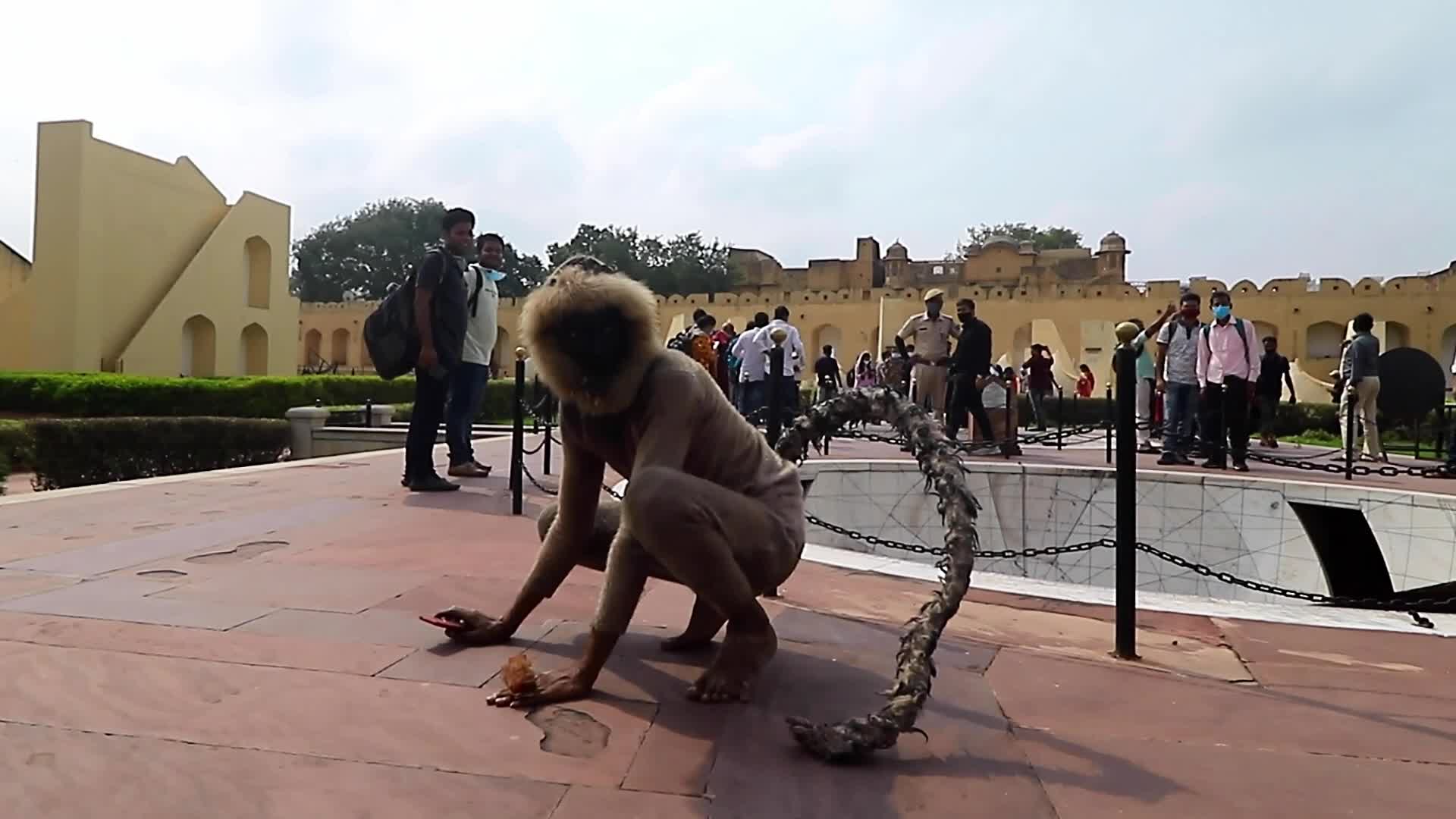 World Tourism Day in Jaipur