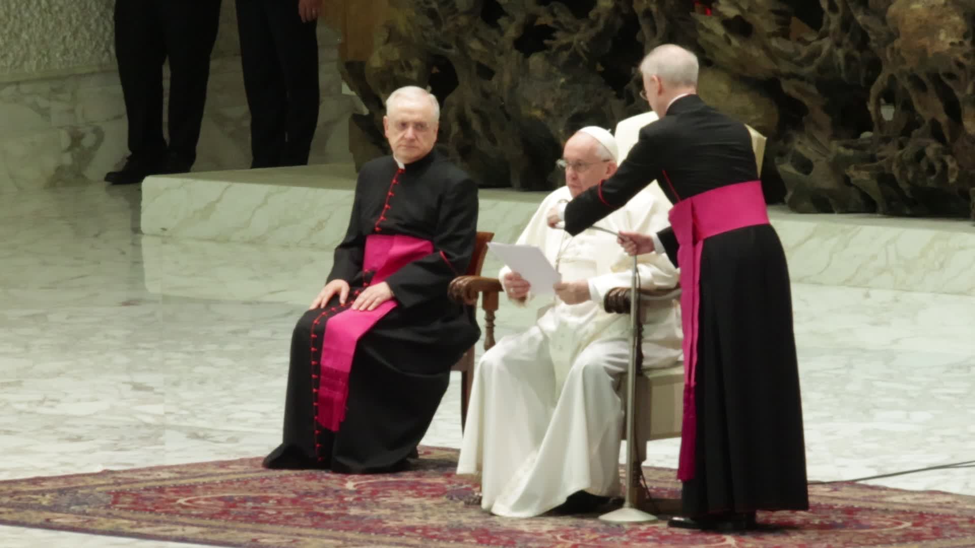 Pope Francis General Weekly Audience in Vaticano