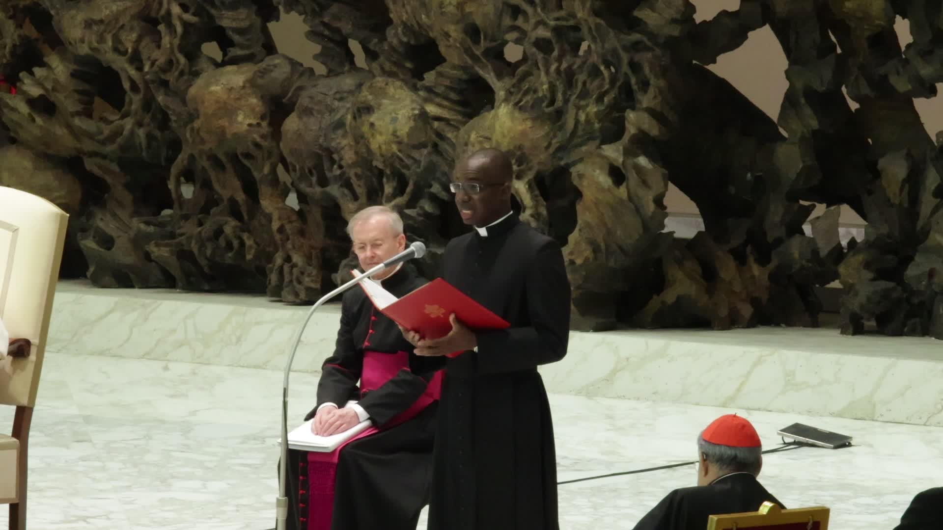 Pope Francis General Weekly Audience in Vaticano