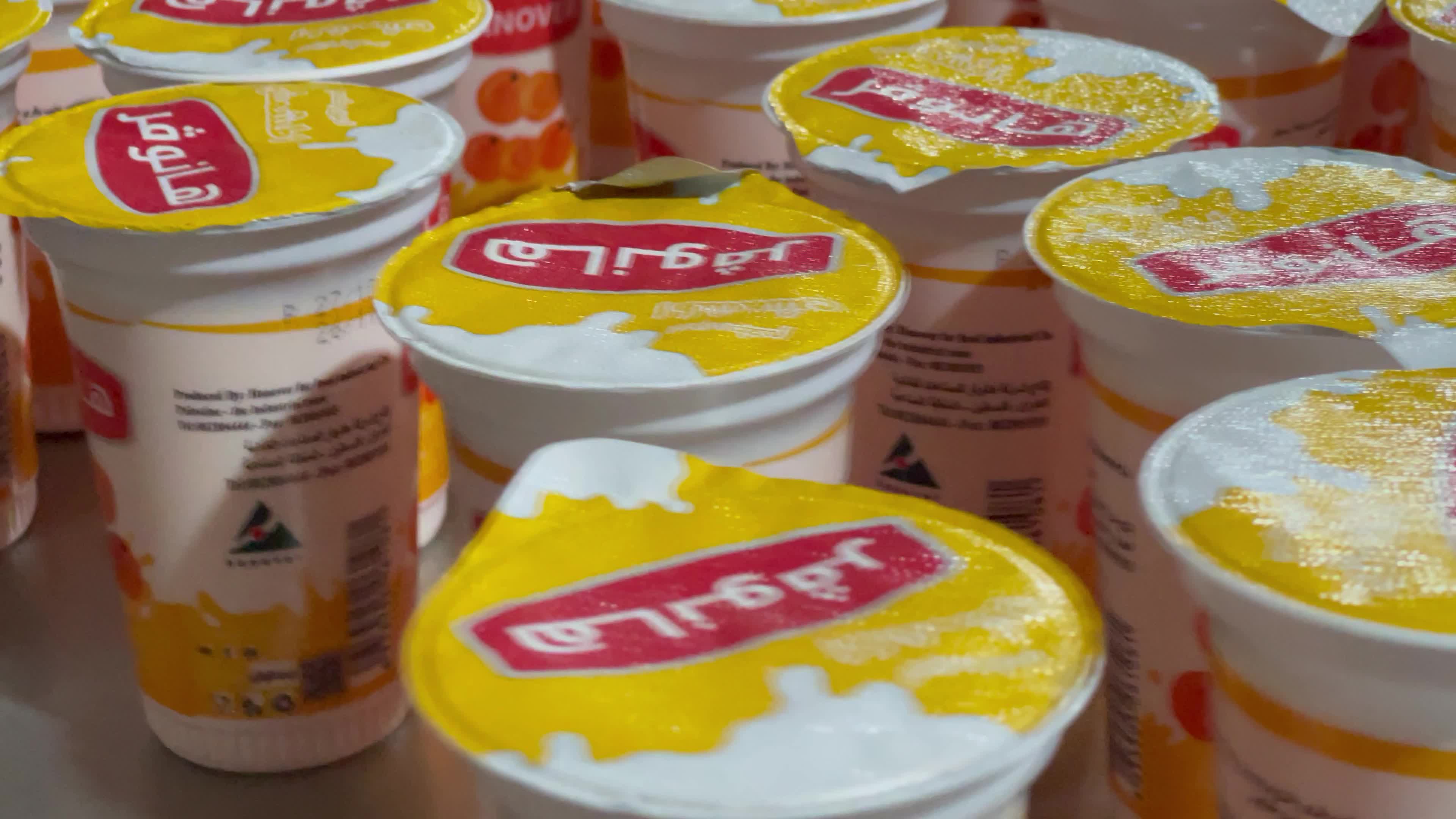 Palestinian employees work at Hanover factory for dairy