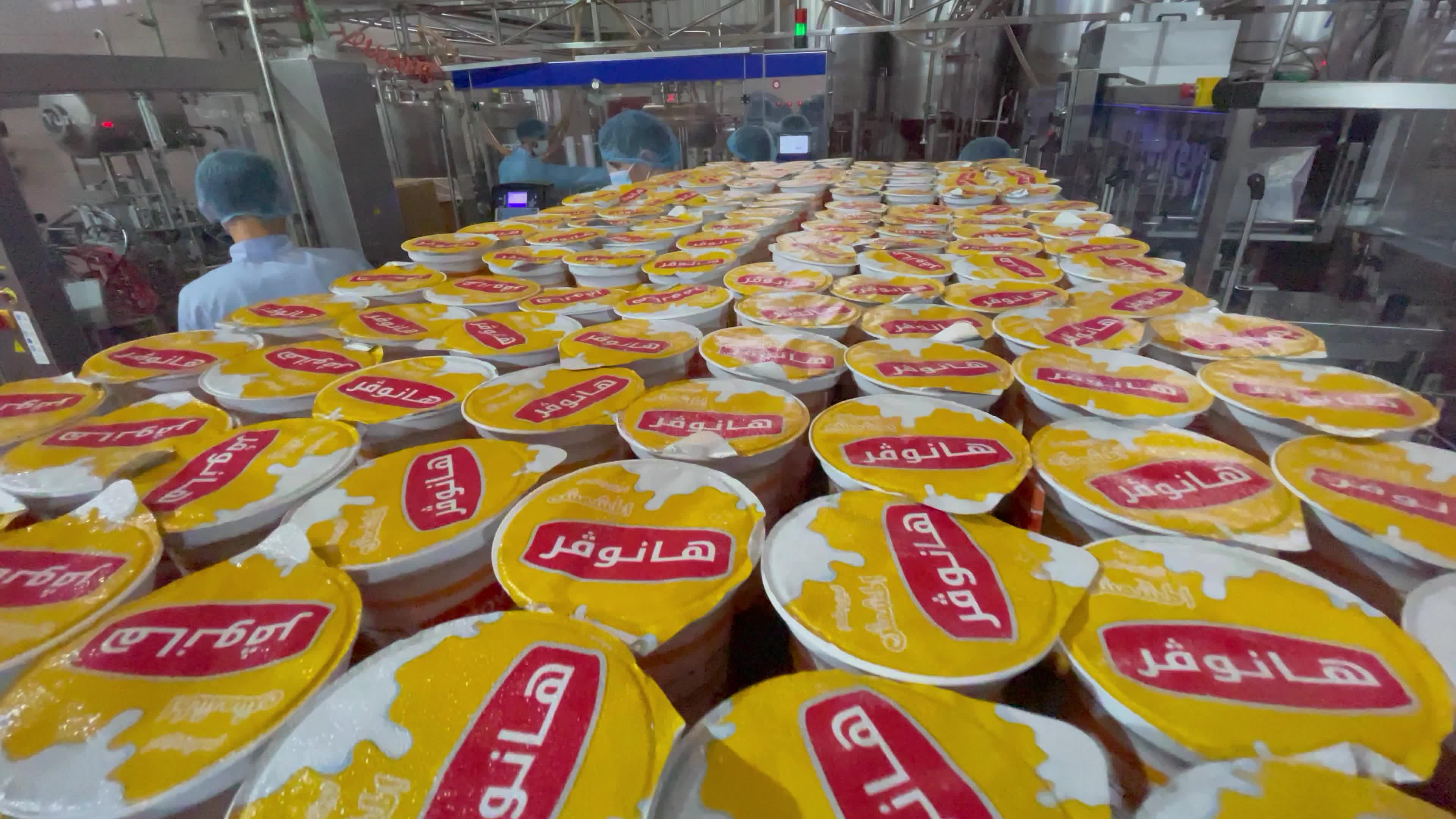 Palestinian employees work at Hanover factory for dairy