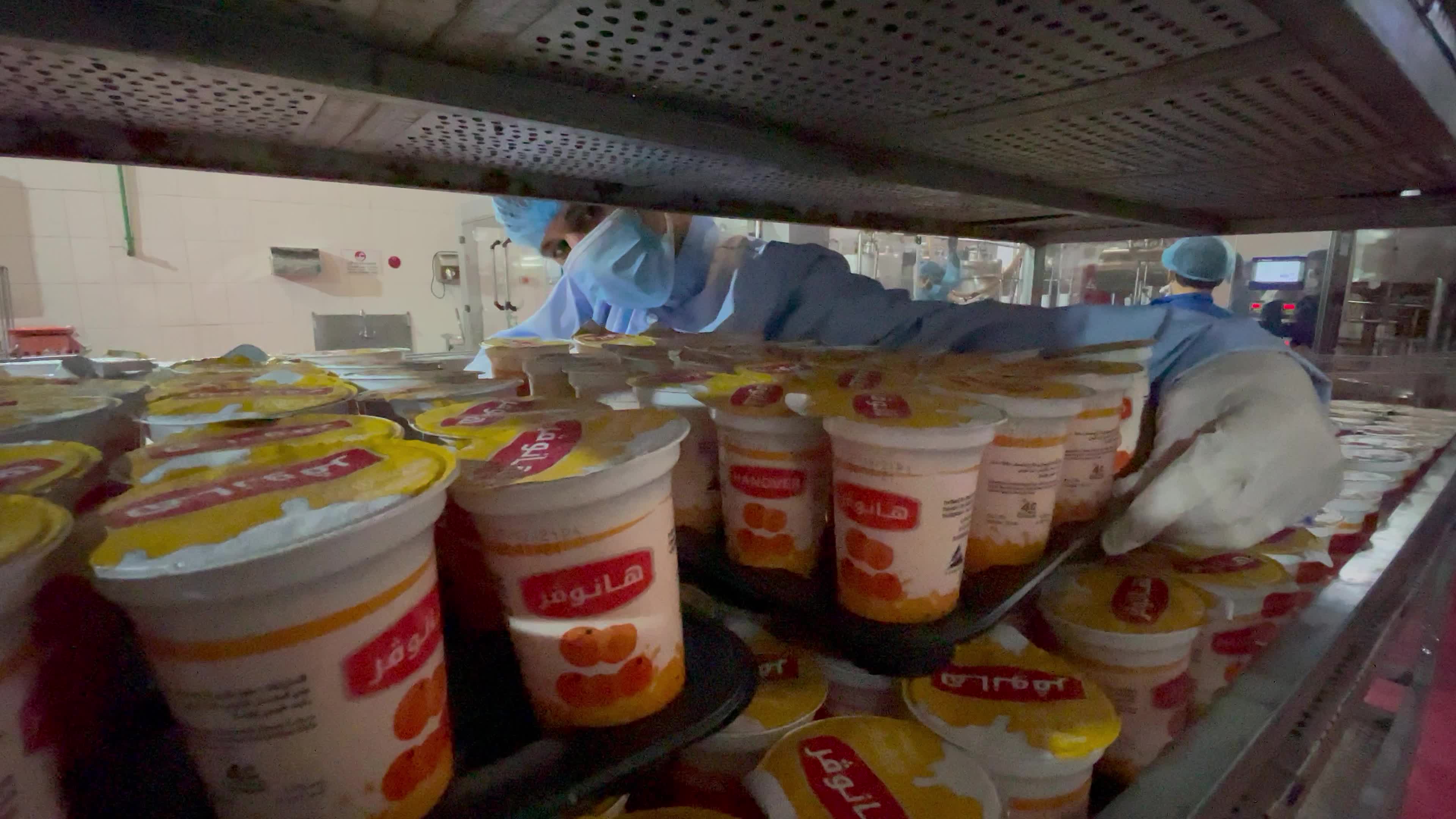 Palestinian employees work at Hanover factory for dairy