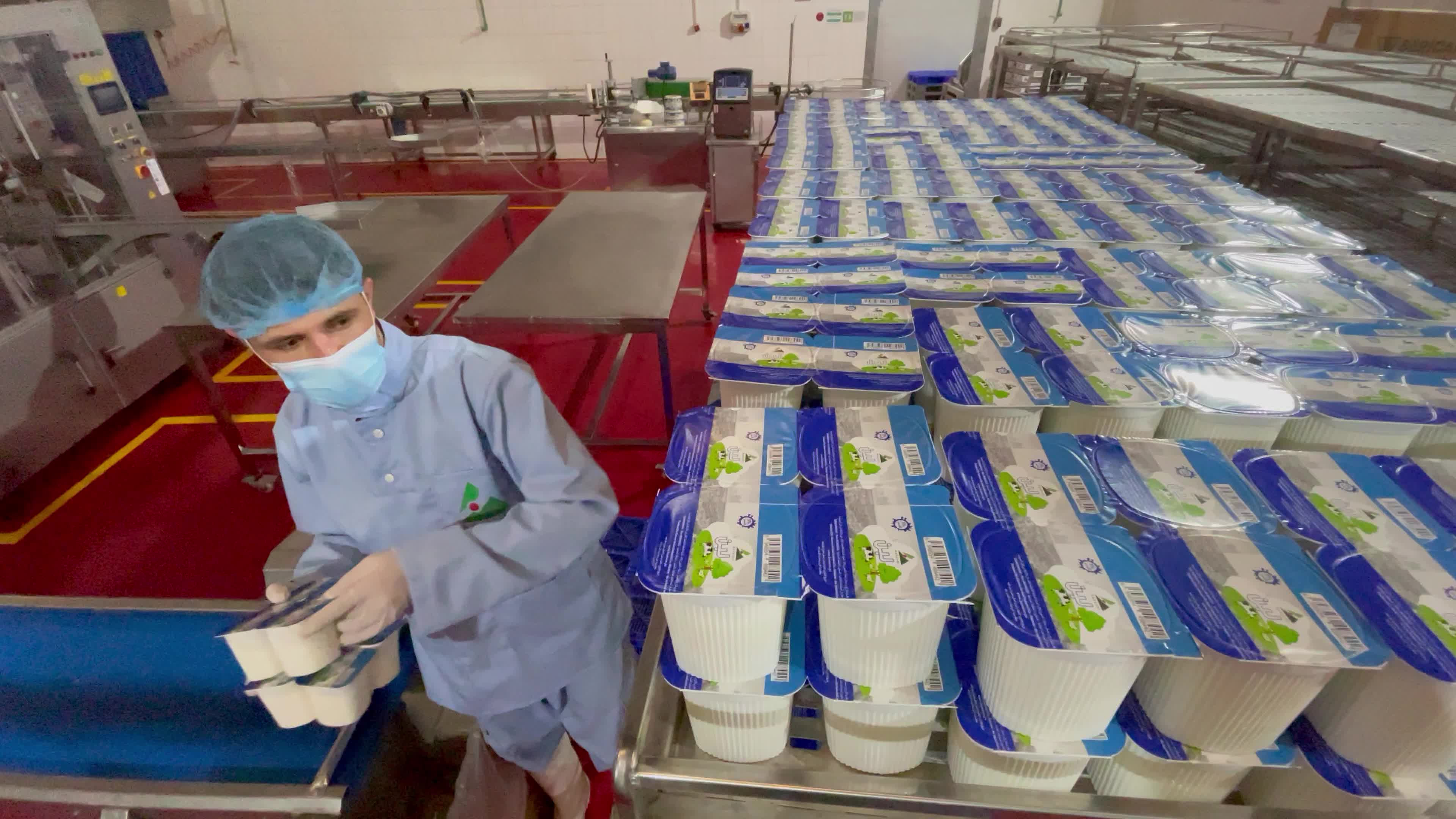 Palestinian employees work at Hanover factory for dairy