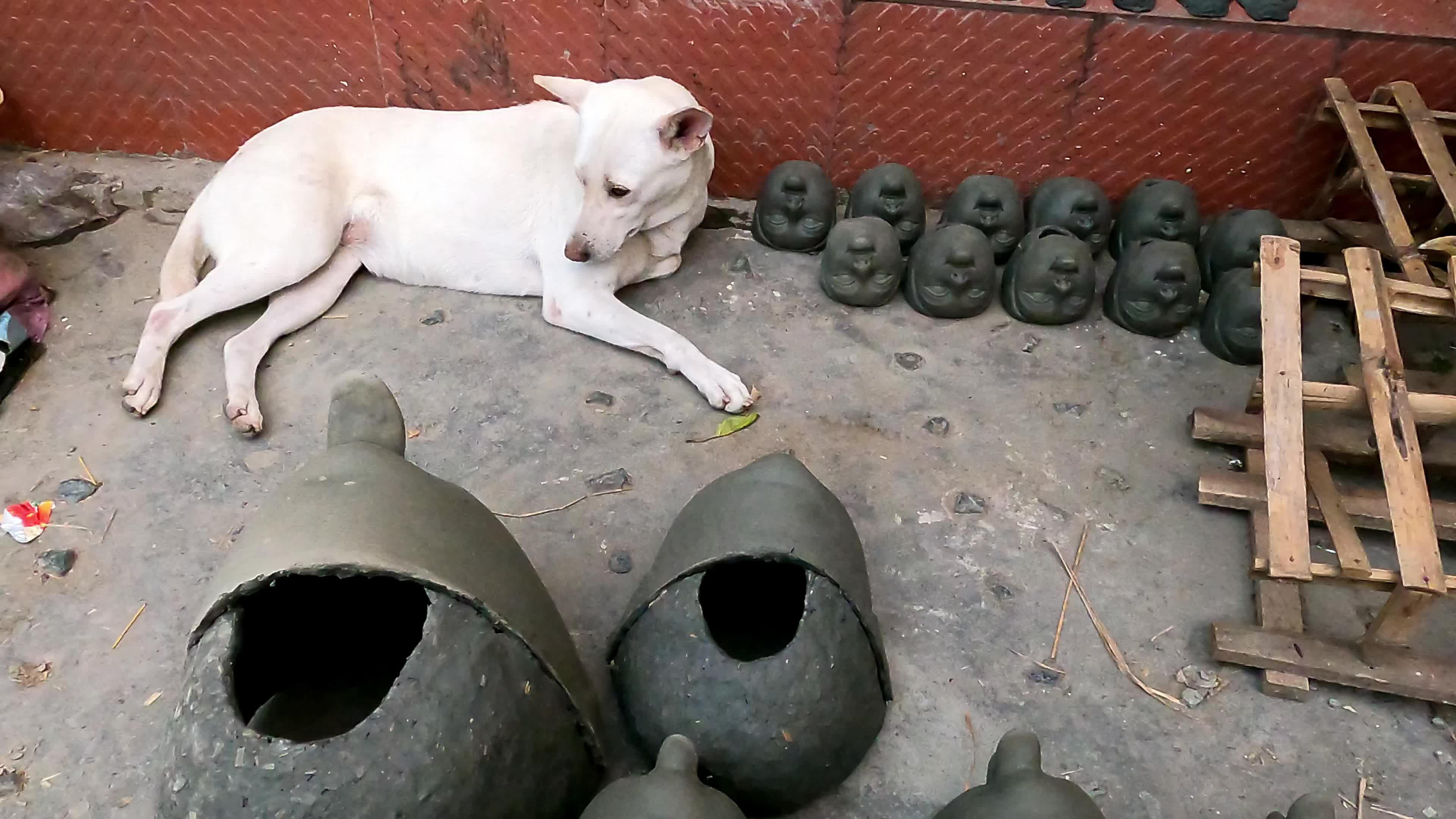 Preparation Of Kali Puja In Kolkata