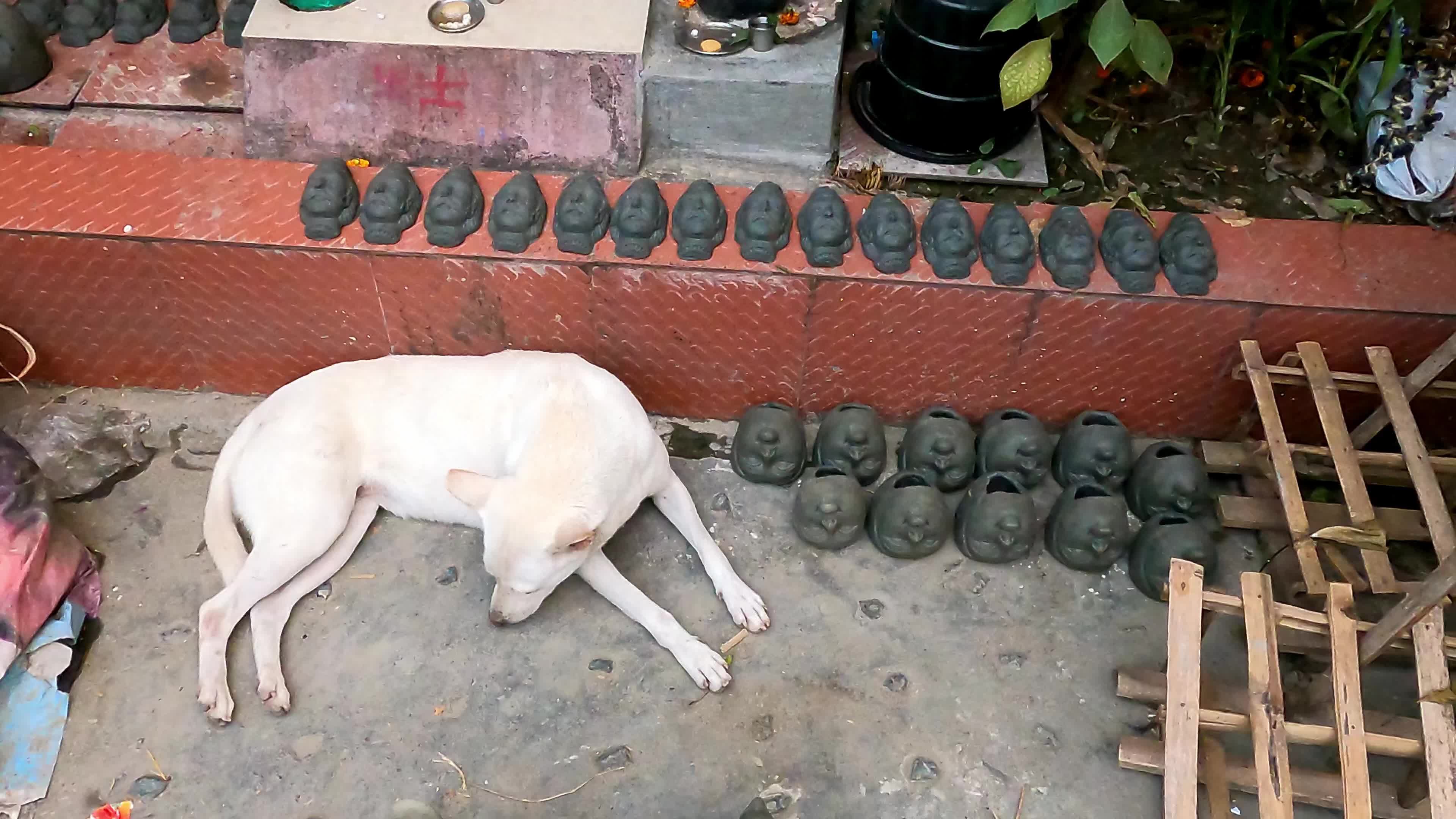 Preparation Of Kali Puja In Kolkata
