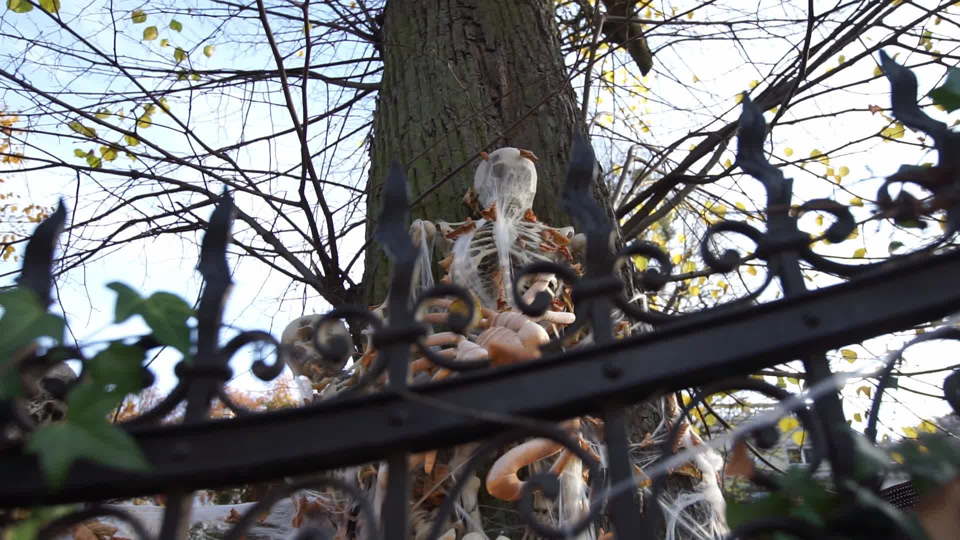 Halloween Decorations In Gdansk, Poland
