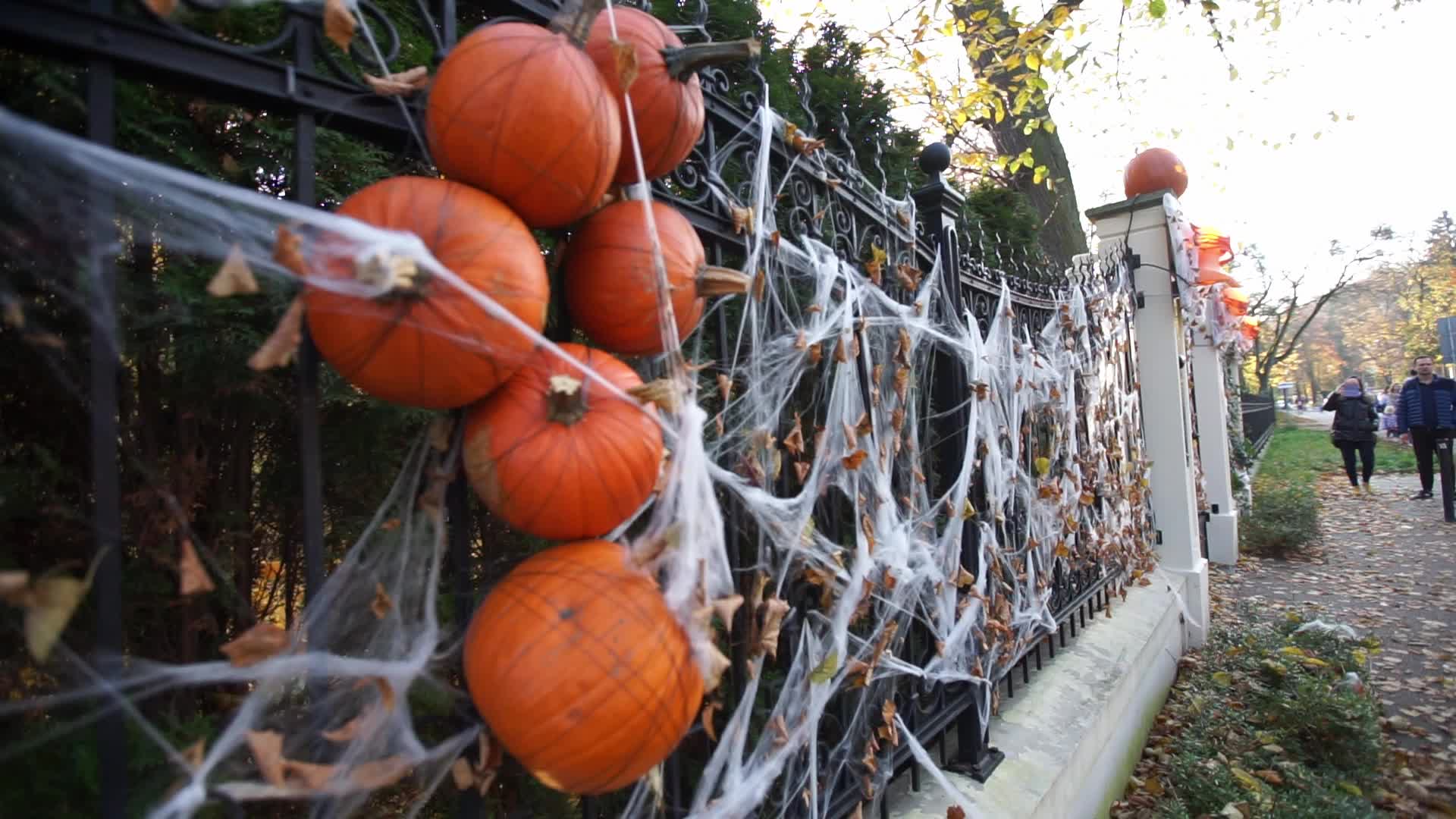 Halloween Decorations In Gdansk, Poland