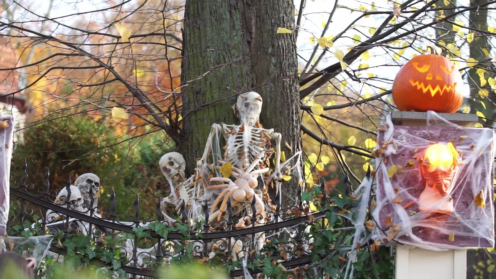 Halloween Decorations In Gdansk, Poland