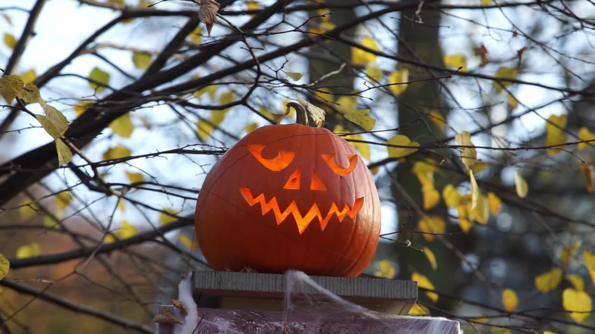Halloween Decorations In Gdansk, Poland