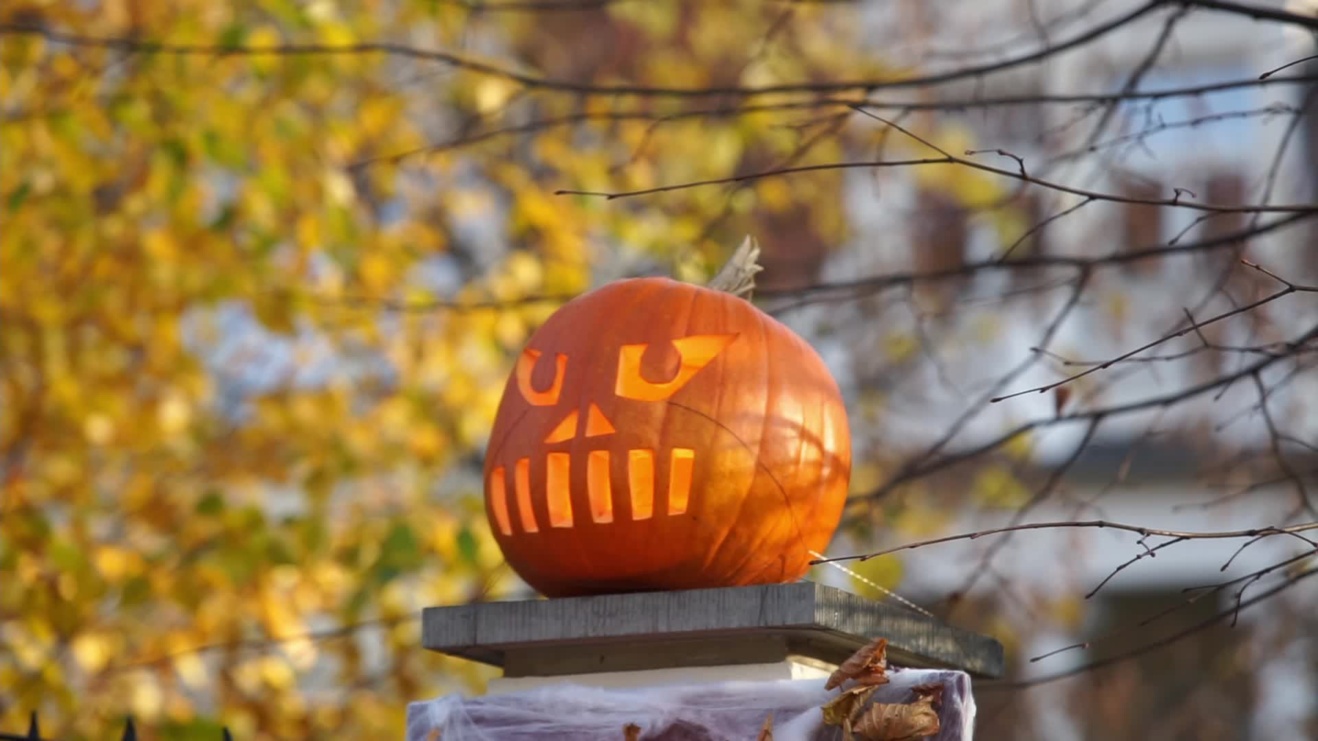 Halloween Decorations In Gdansk, Poland