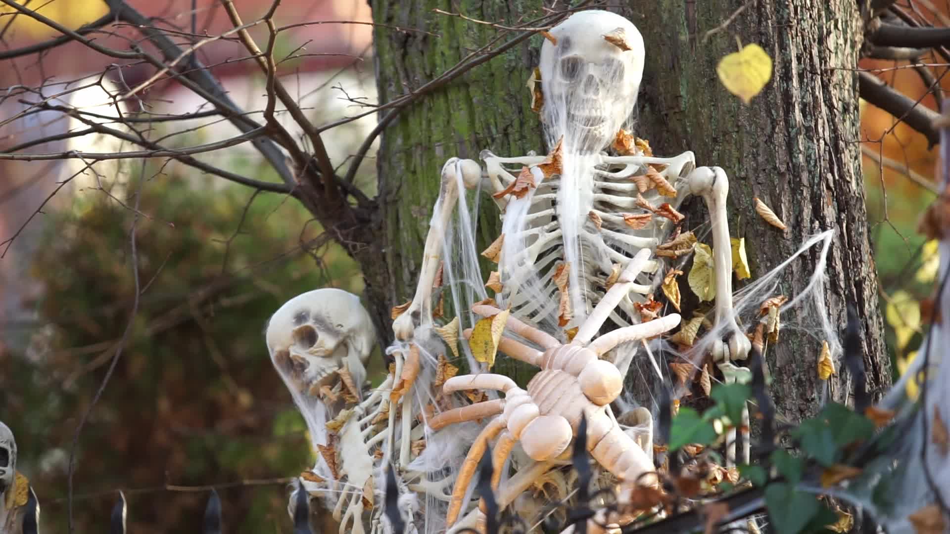 Halloween Decorations In Gdansk, Poland