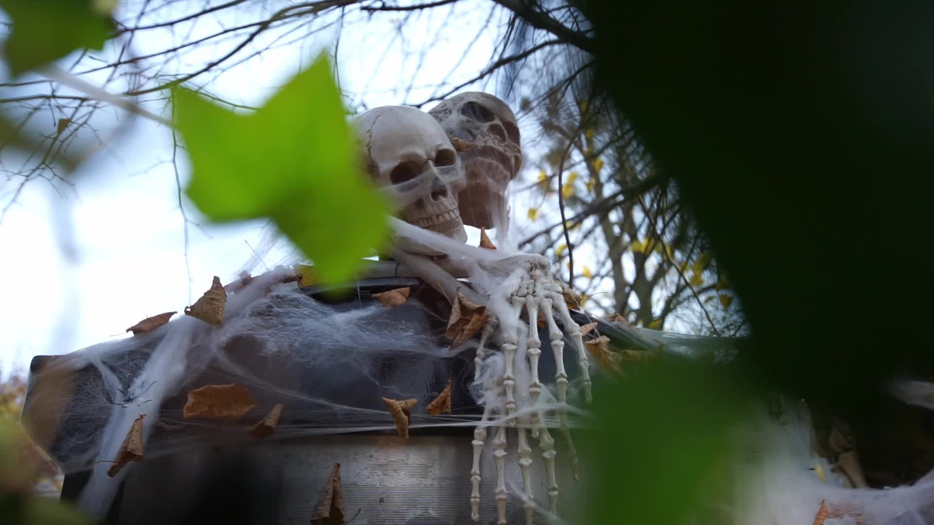 Halloween Decorations In Gdansk, Poland
